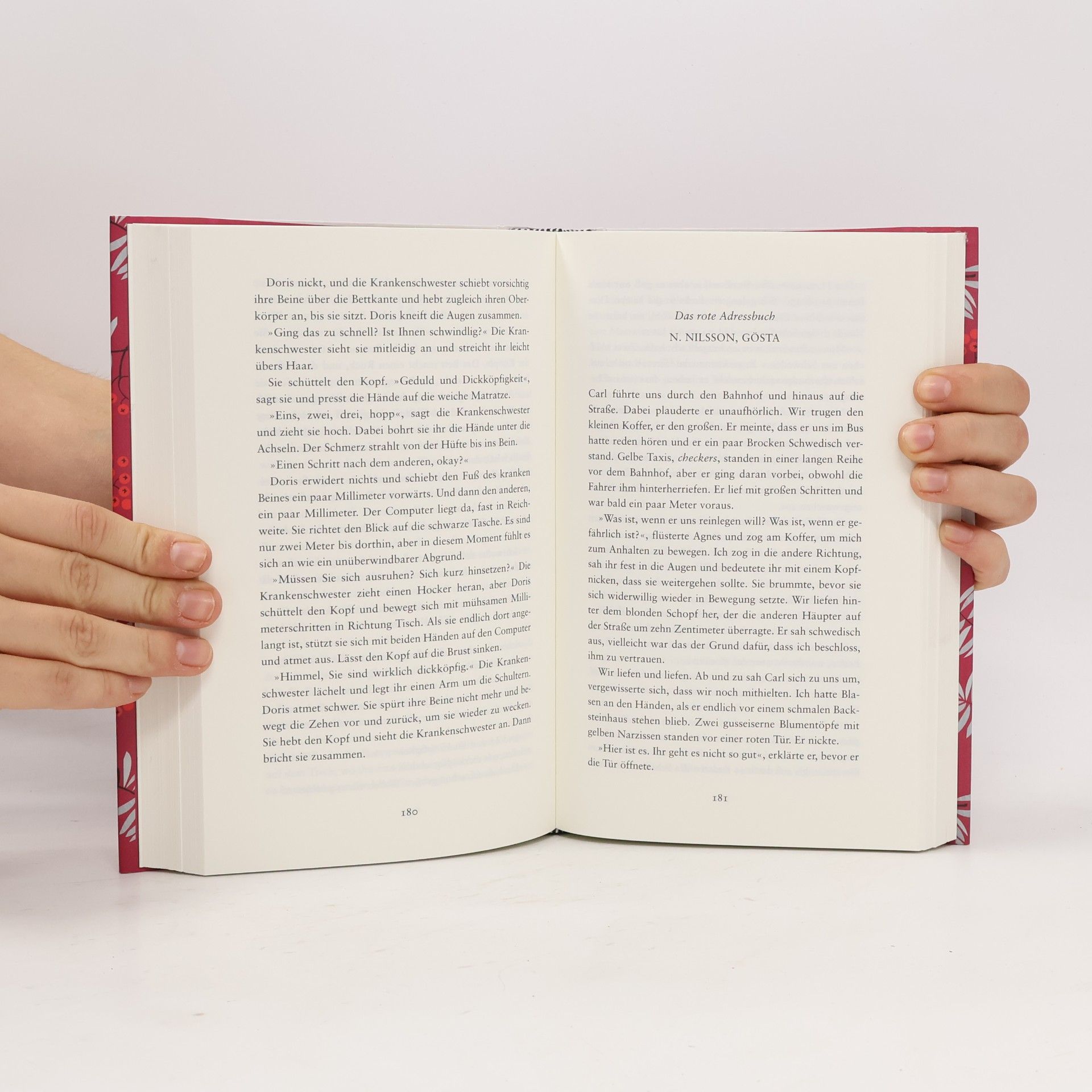 Sofia Lundberg Das rote Adressbuch