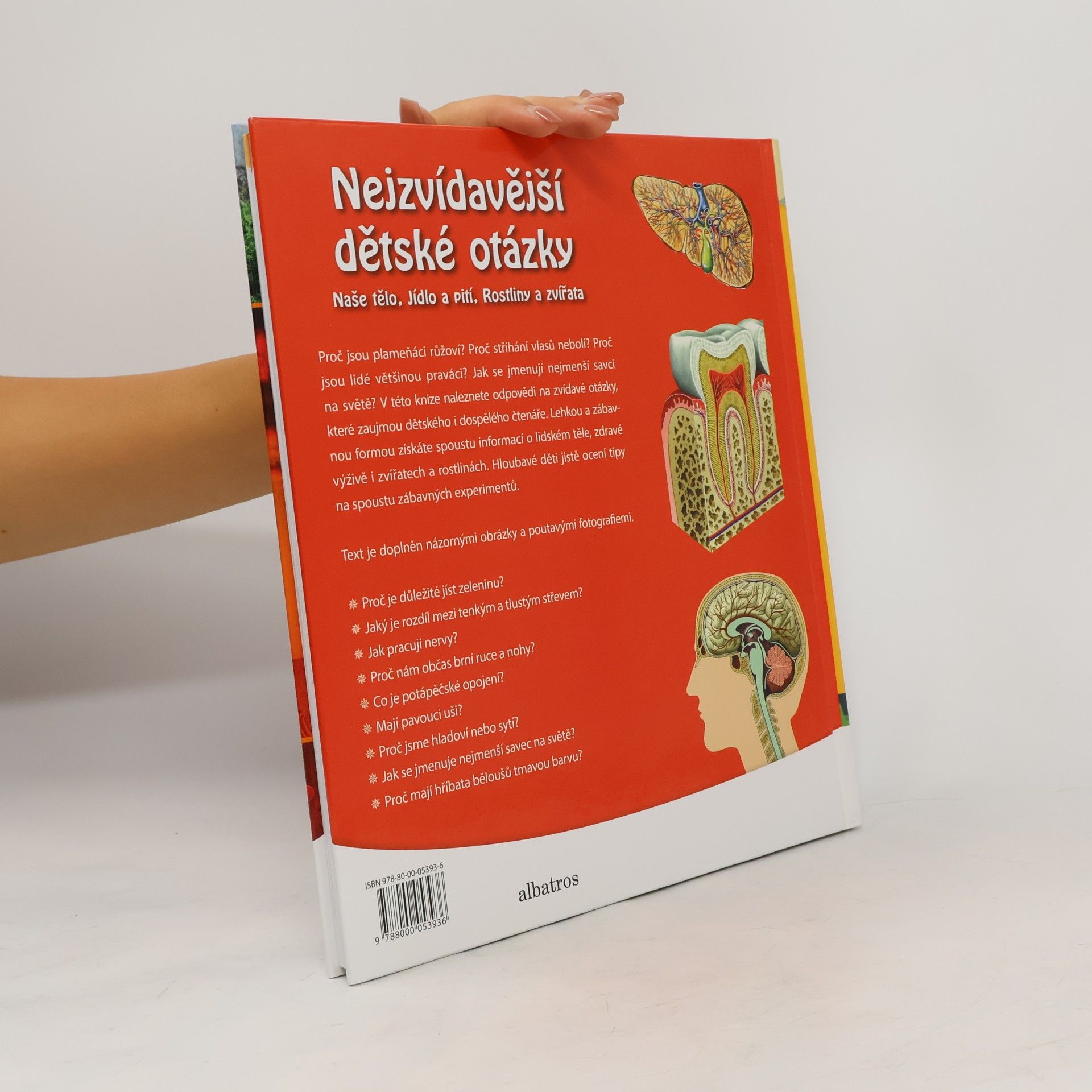 Autorenkollektiv Nejzvídavější dětské otázky