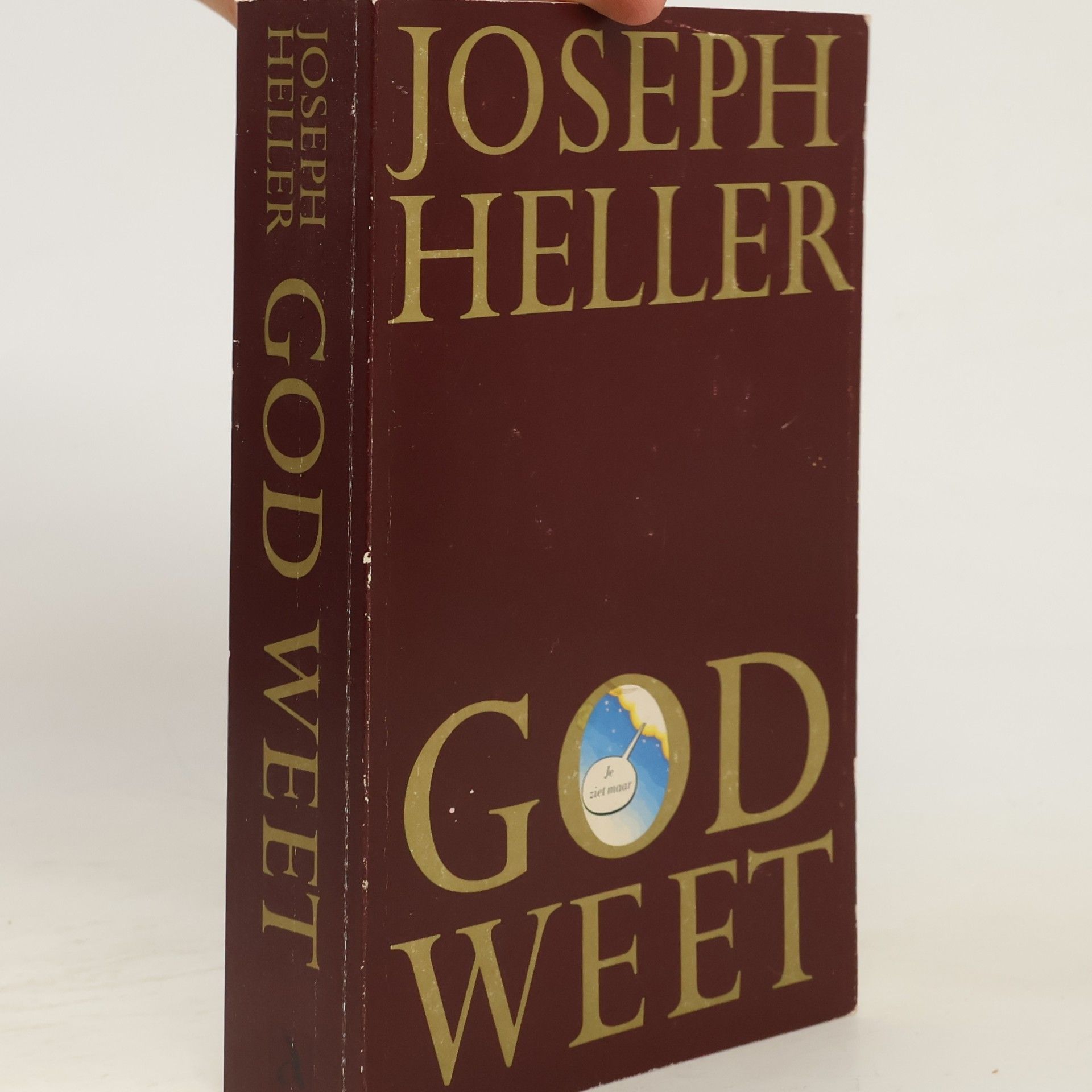 Joseph Heller God weet