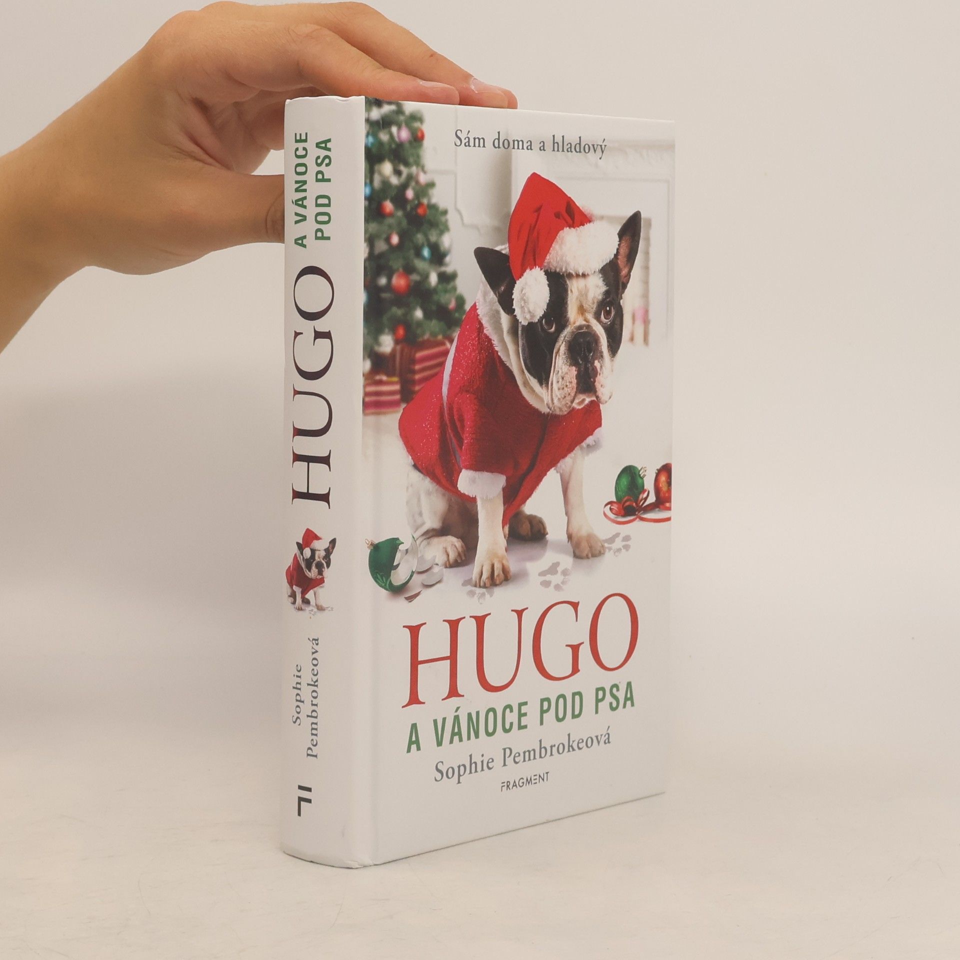 Hugo a Vánoce pod psa
