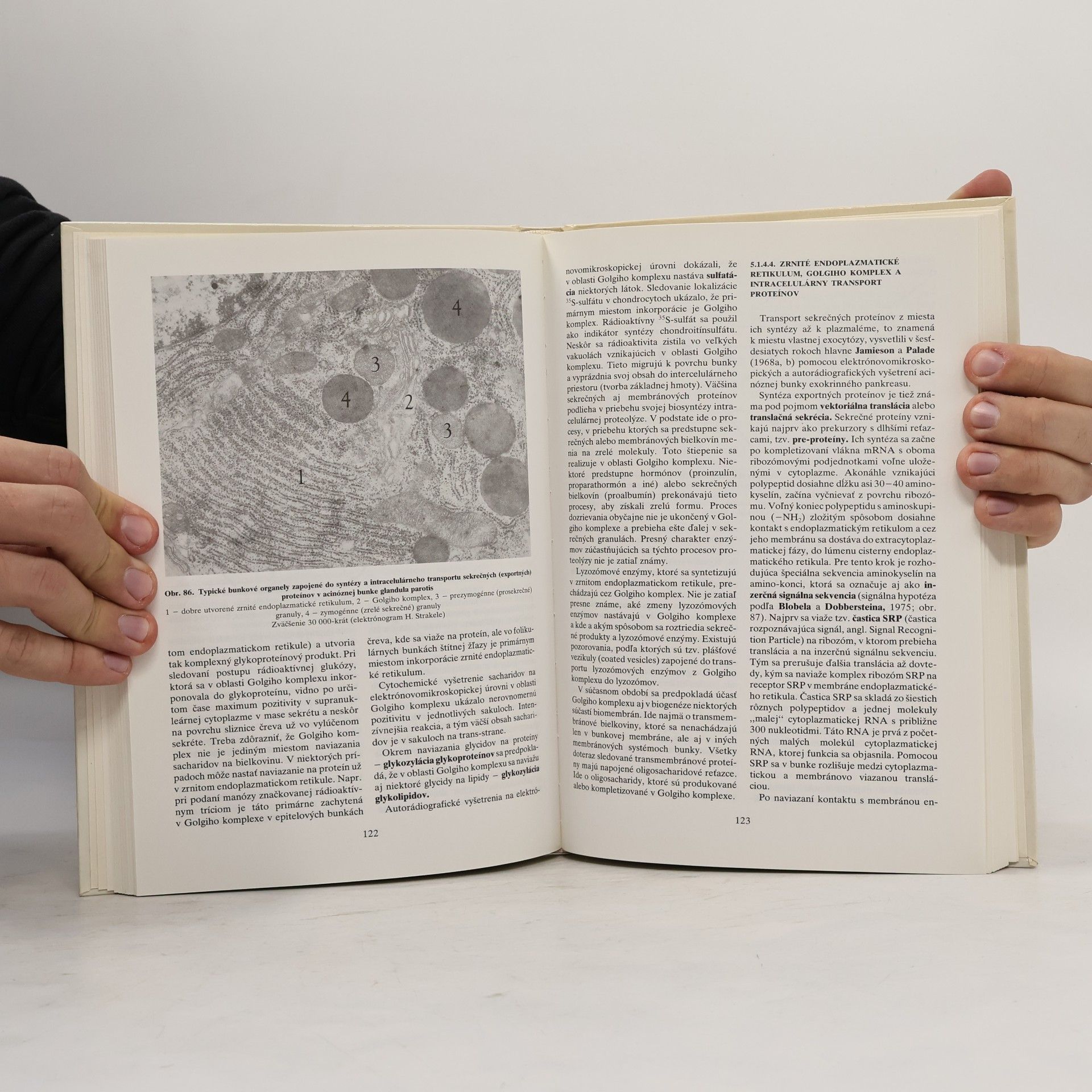 Karol Kapeller Cytomorfológia : Učebnica pre lekárske fakulty