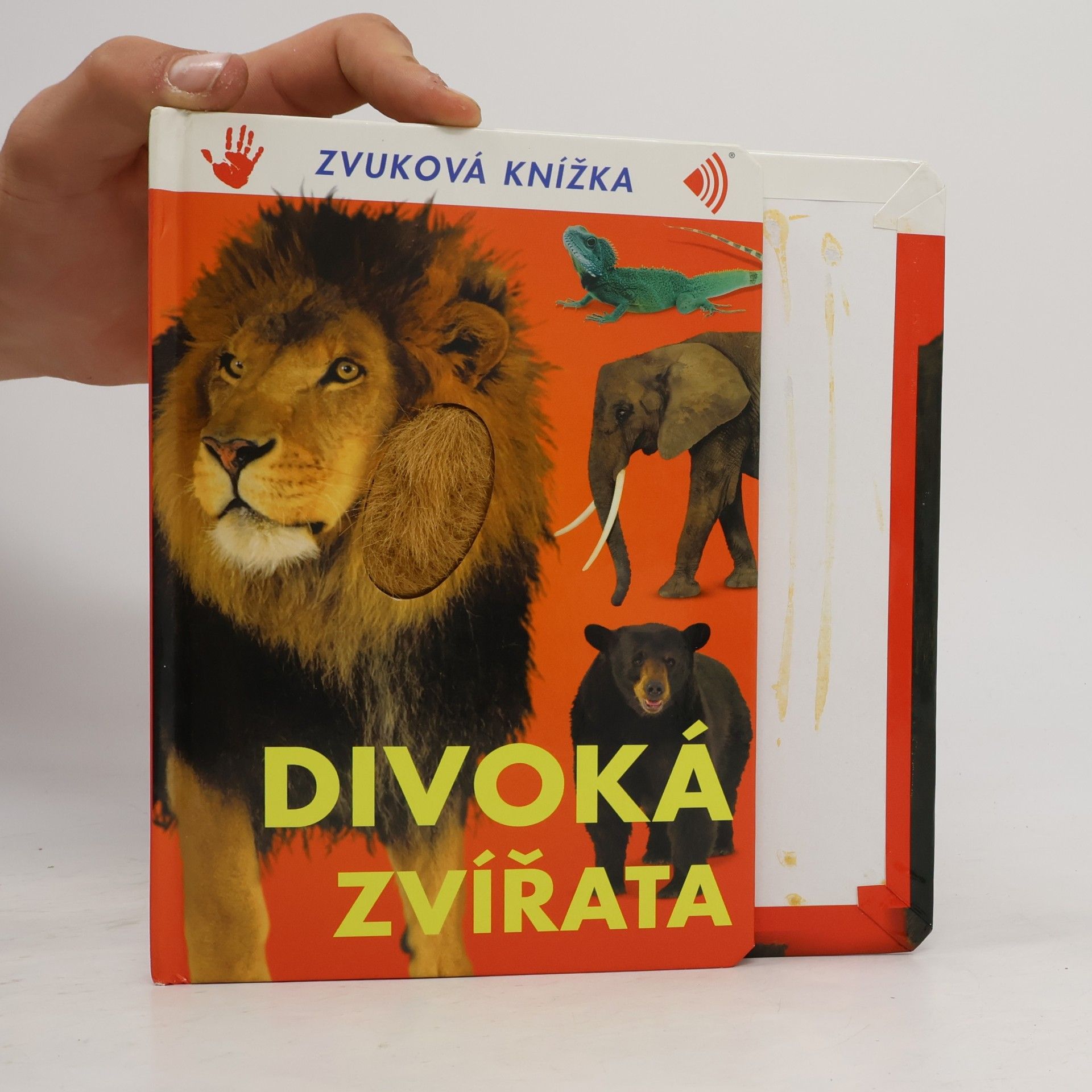 kolektiv Divoká zvířata