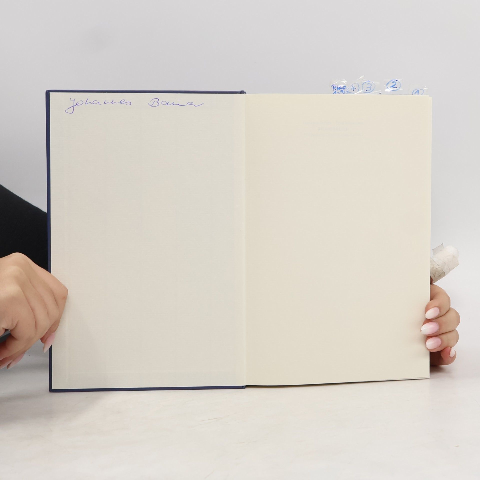 Laurence Heller Praxisbuch Entwicklungstrauma heilen