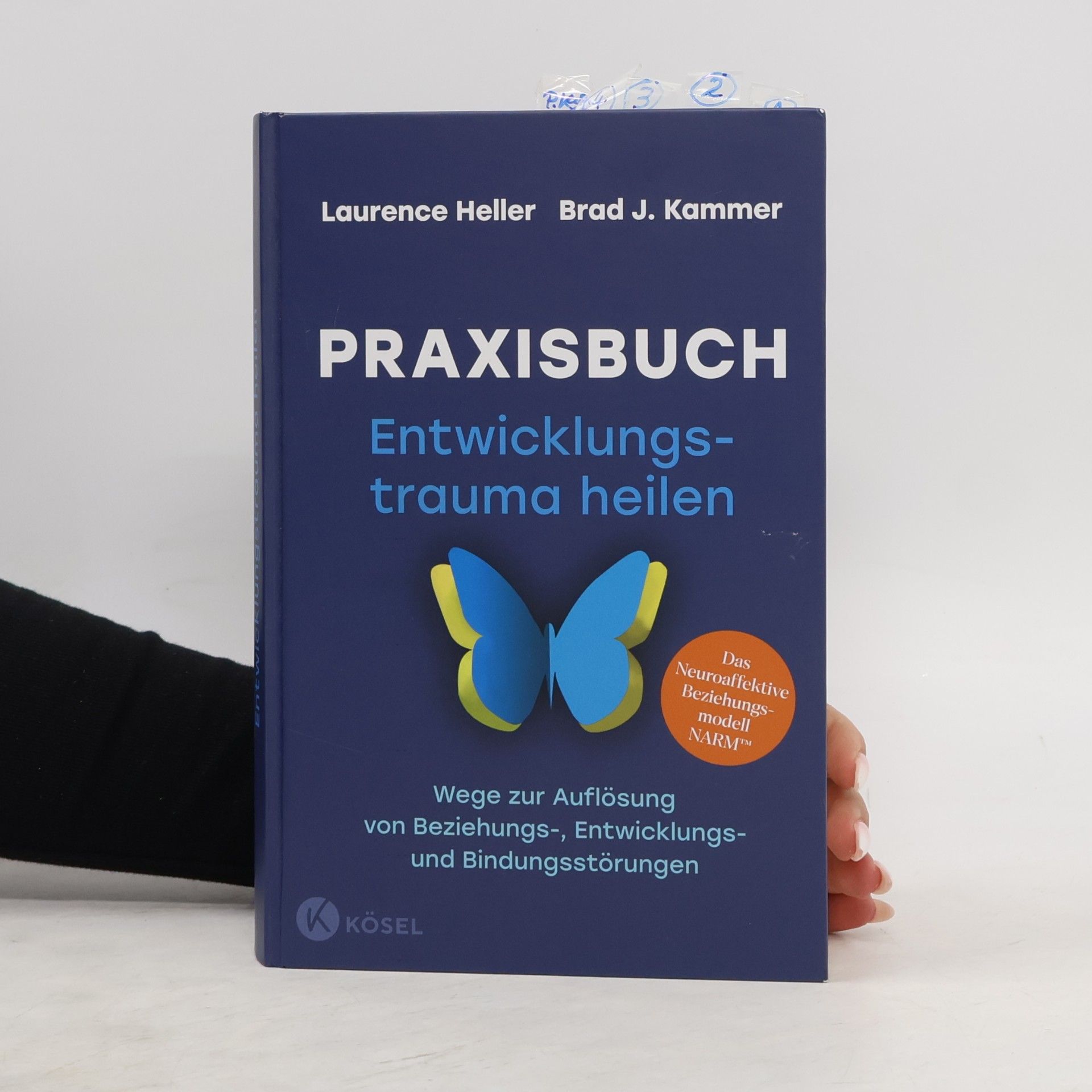 Laurence Heller Praxisbuch Entwicklungstrauma heilen