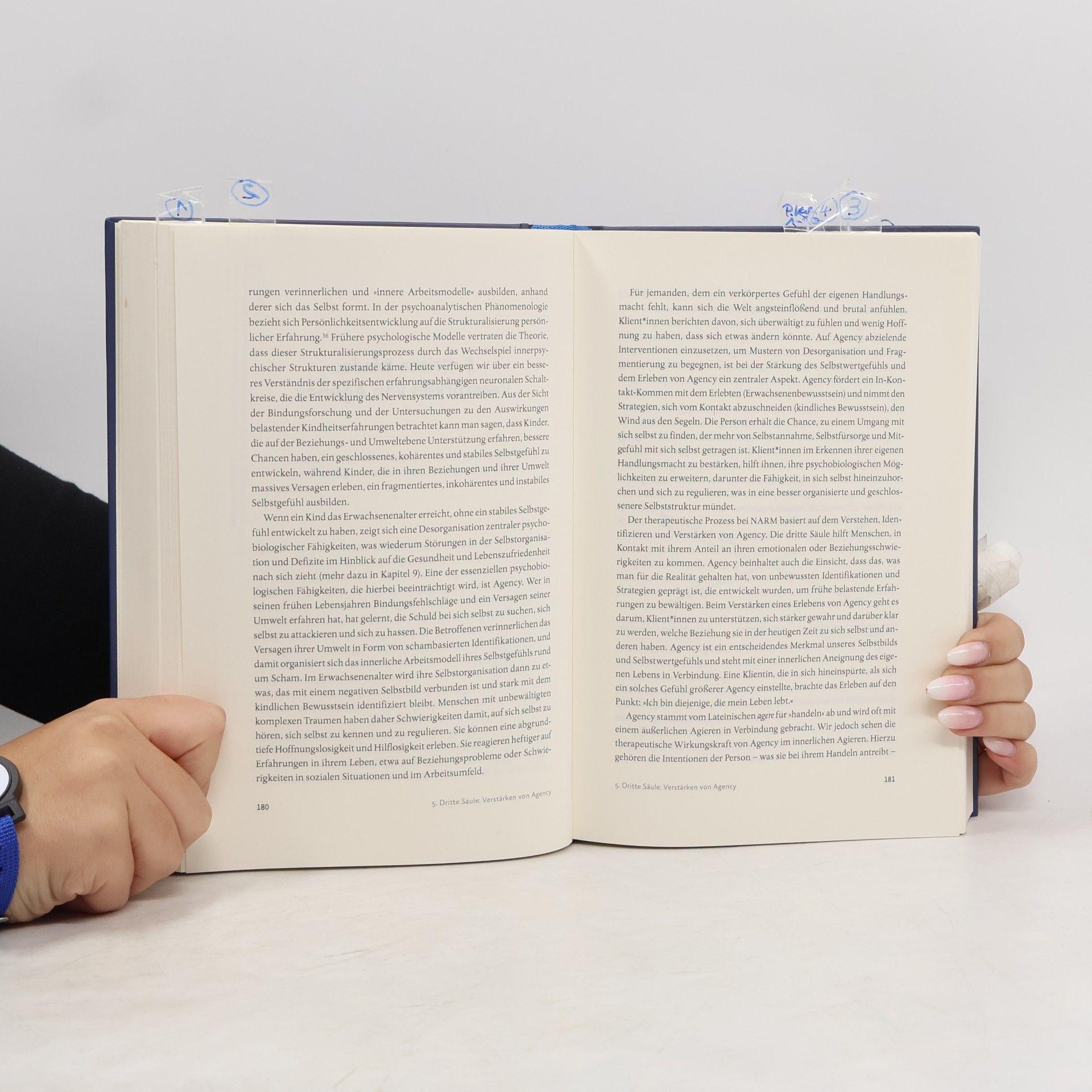 Laurence Heller Praxisbuch Entwicklungstrauma heilen