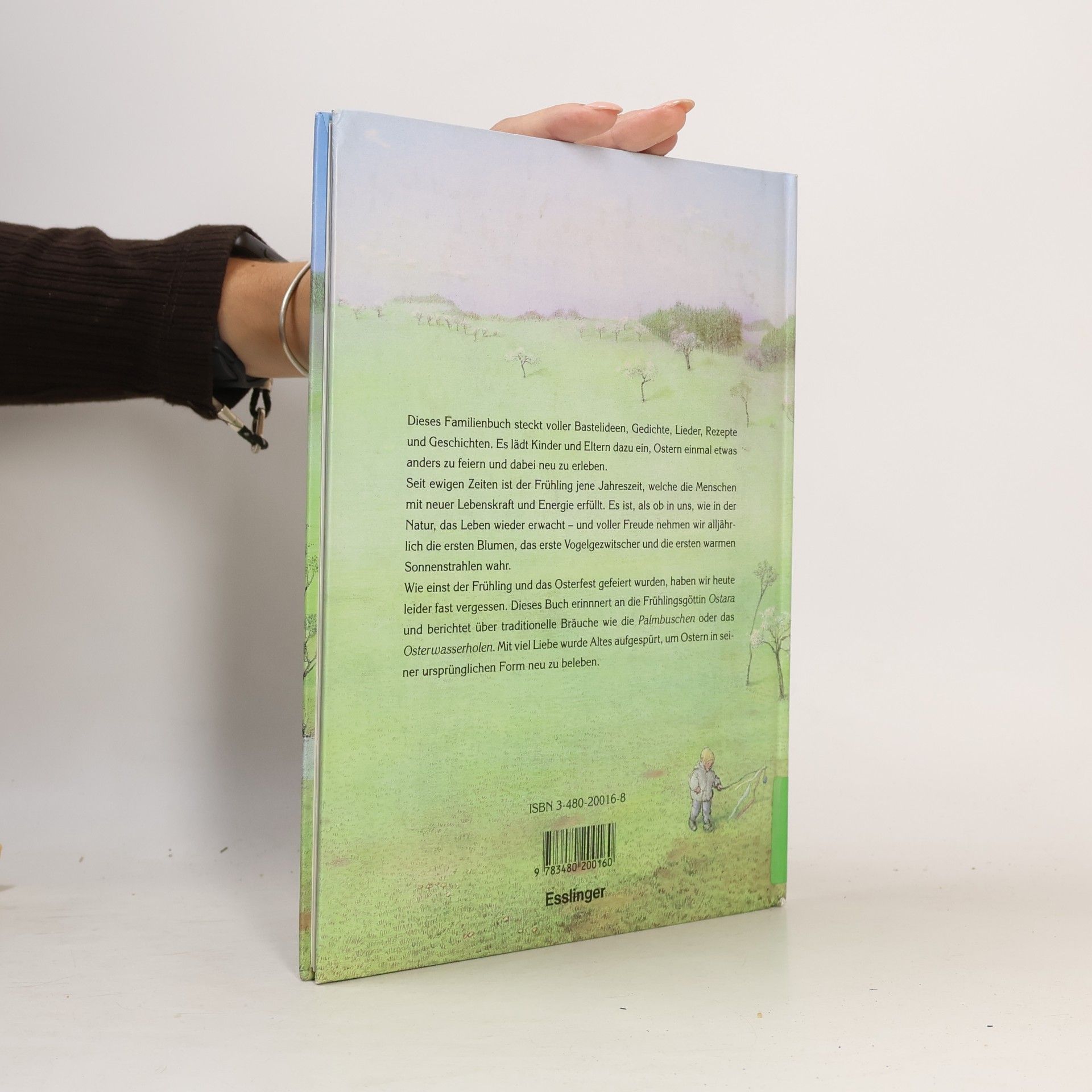 Diana Monson Frühlingsreigen: das andere Osterbuch ; [Bräuche, Lieder, Rezepte]