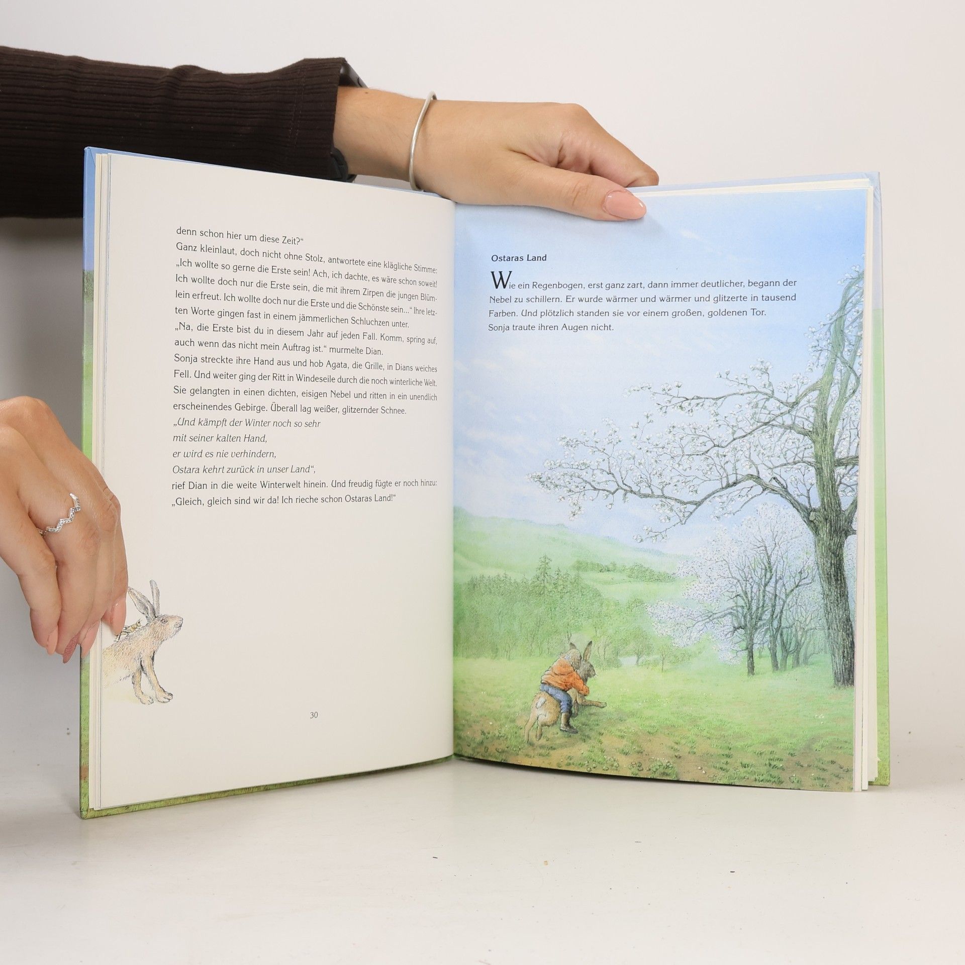 Diana Monson Frühlingsreigen: das andere Osterbuch ; [Bräuche, Lieder, Rezepte]