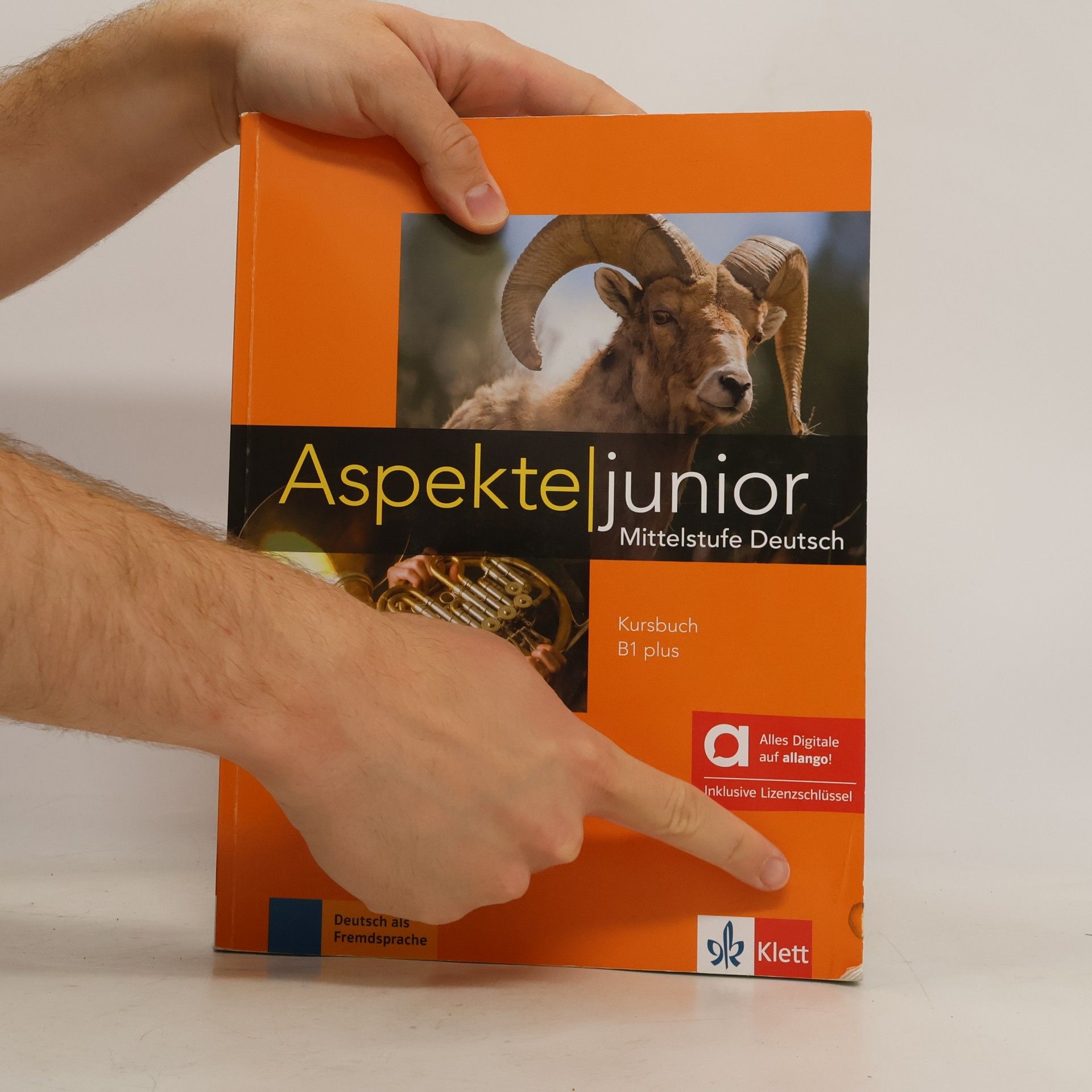 Ute Koithan Aspekte junior
