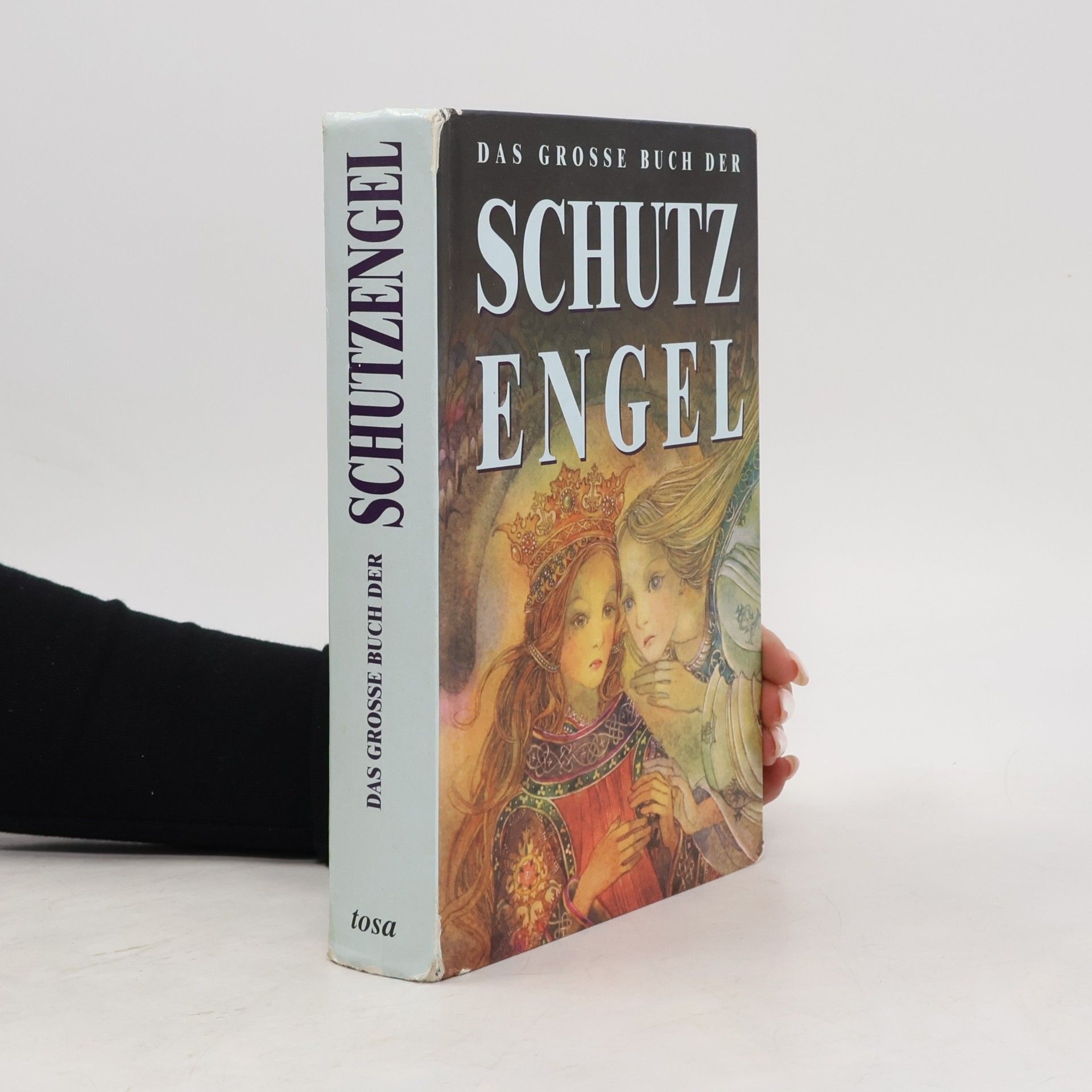 Peter Michel Das große Buch der Schutzengel