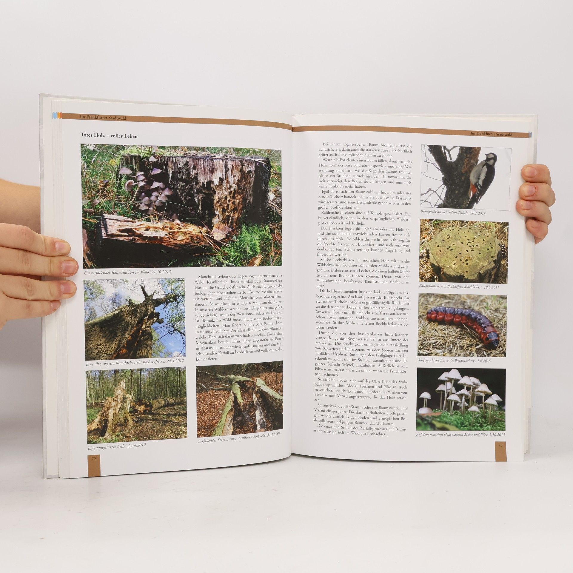 Natur-Tagebuch