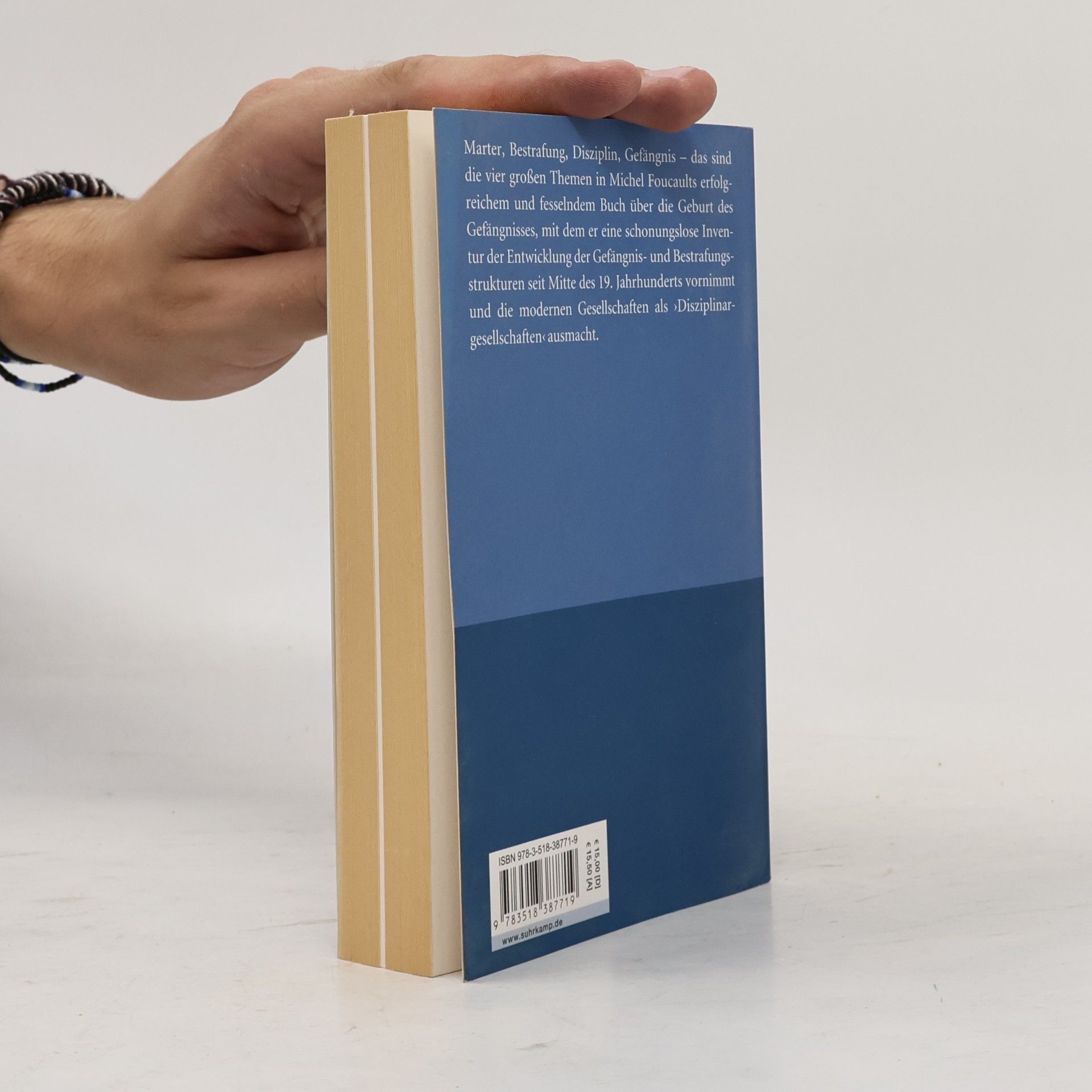 Michel Foucault Überwachen und Strafen