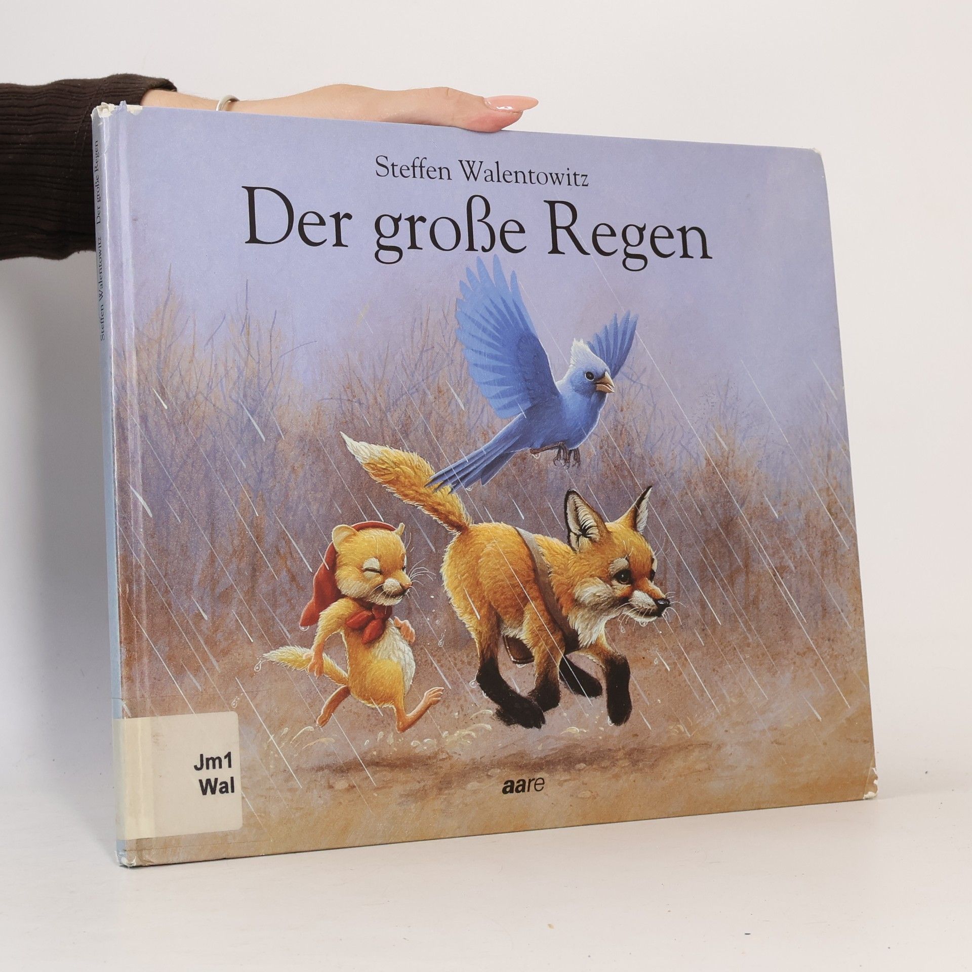 Der große Regen