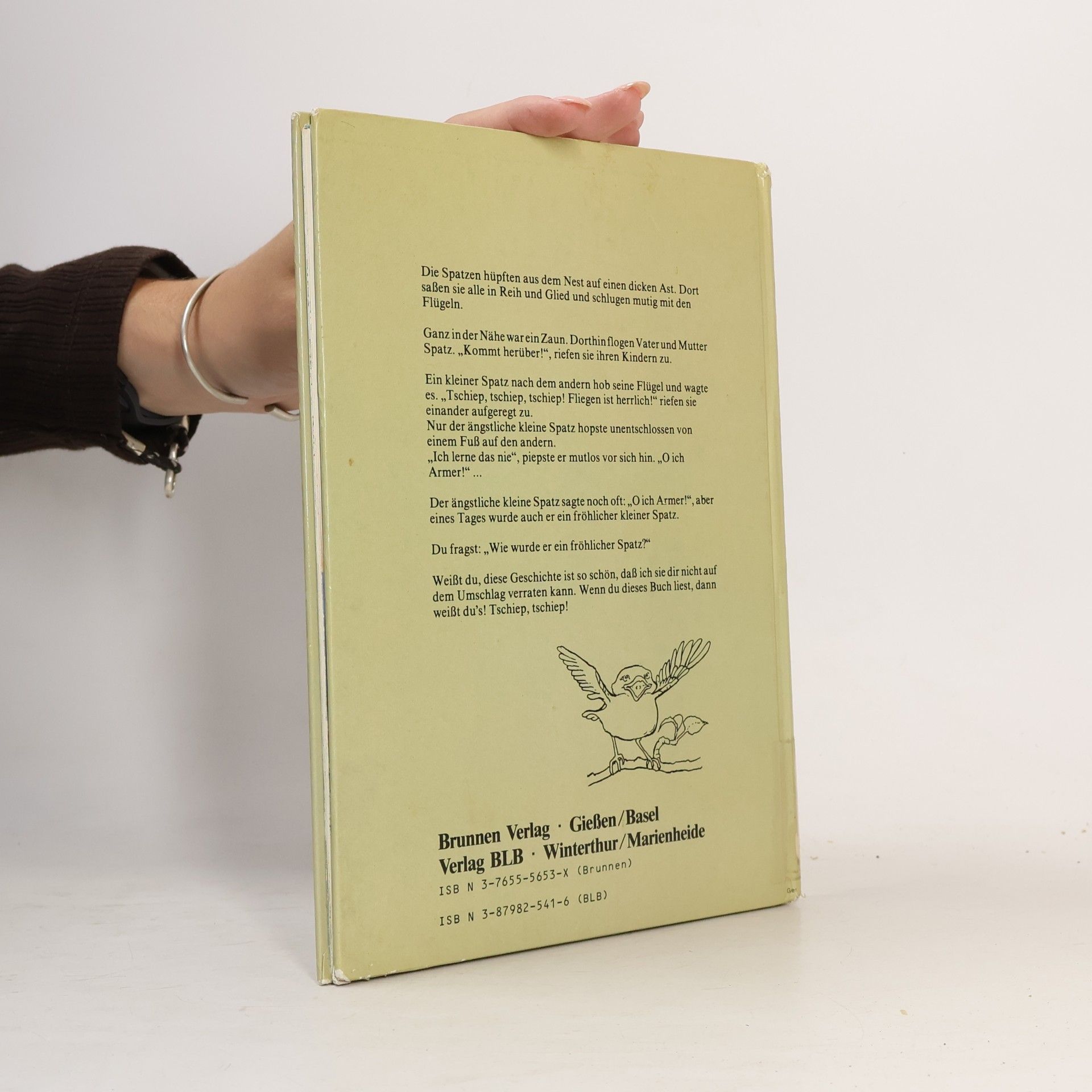 Kolektiv autorů Der ängstliche kleine Spatz
