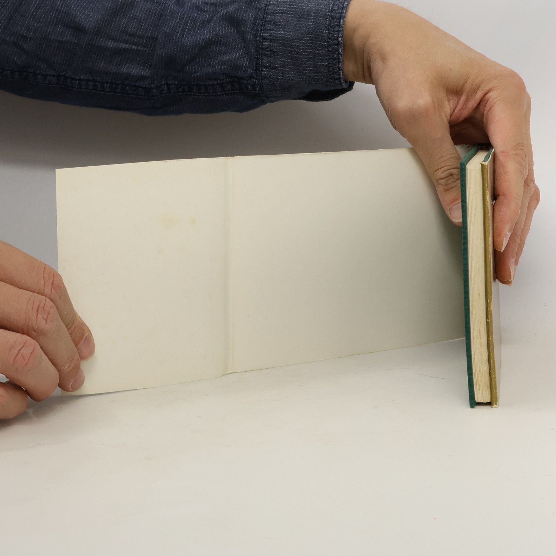 Martin Luther Ein Postkartenalbum 1483-1546