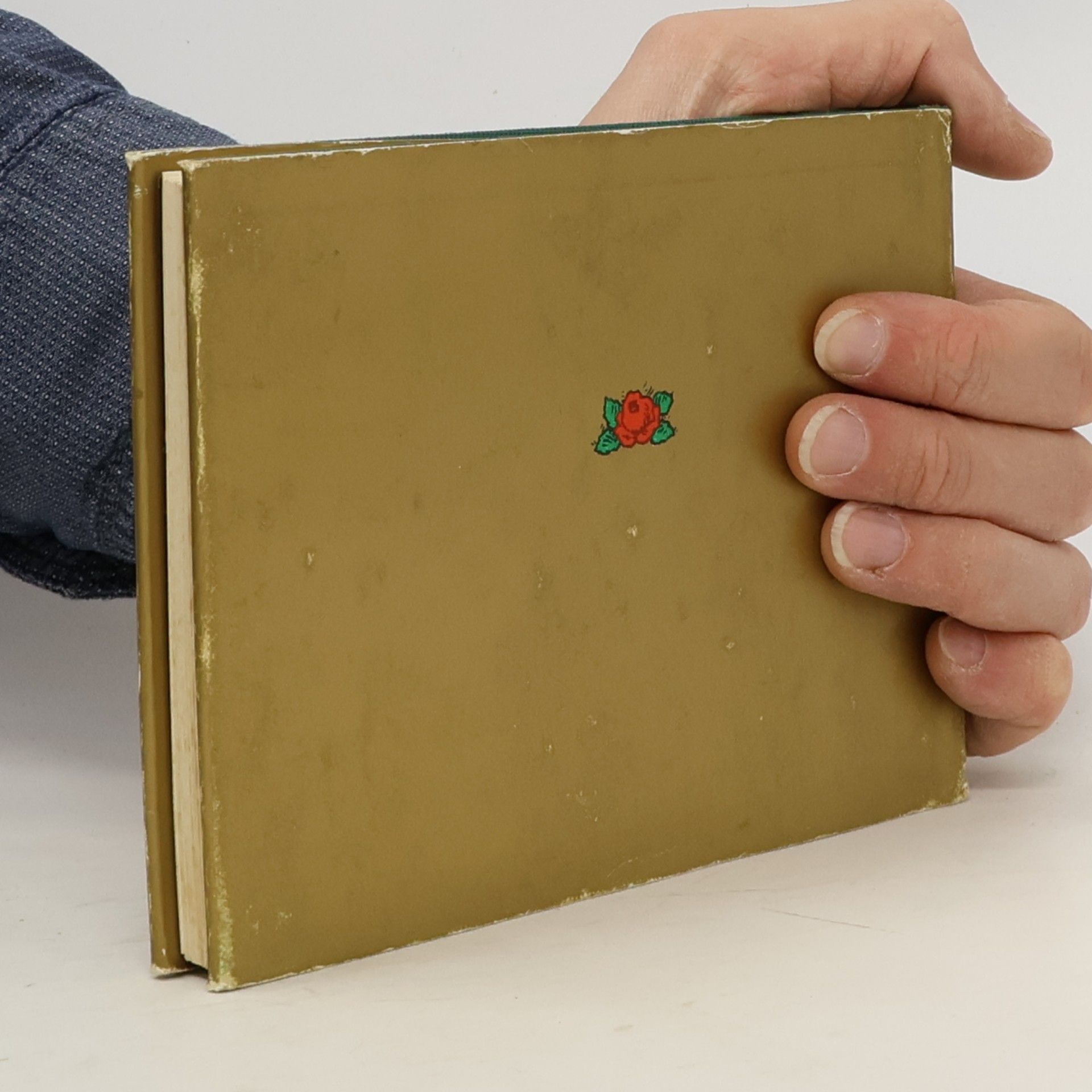Martin Luther Ein Postkartenalbum 1483-1546