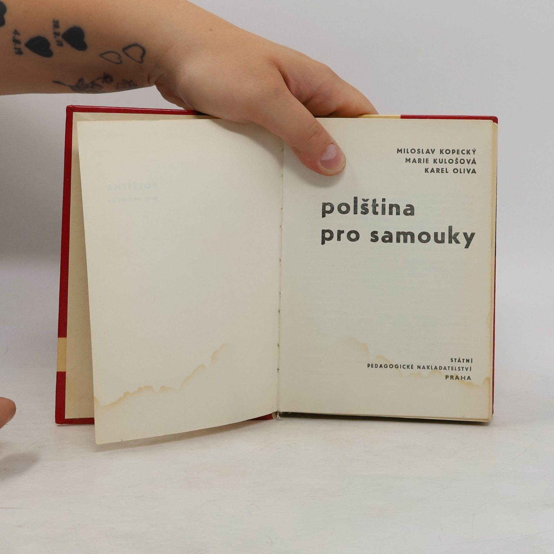 Miroslav Kopecký Polština pro samouky