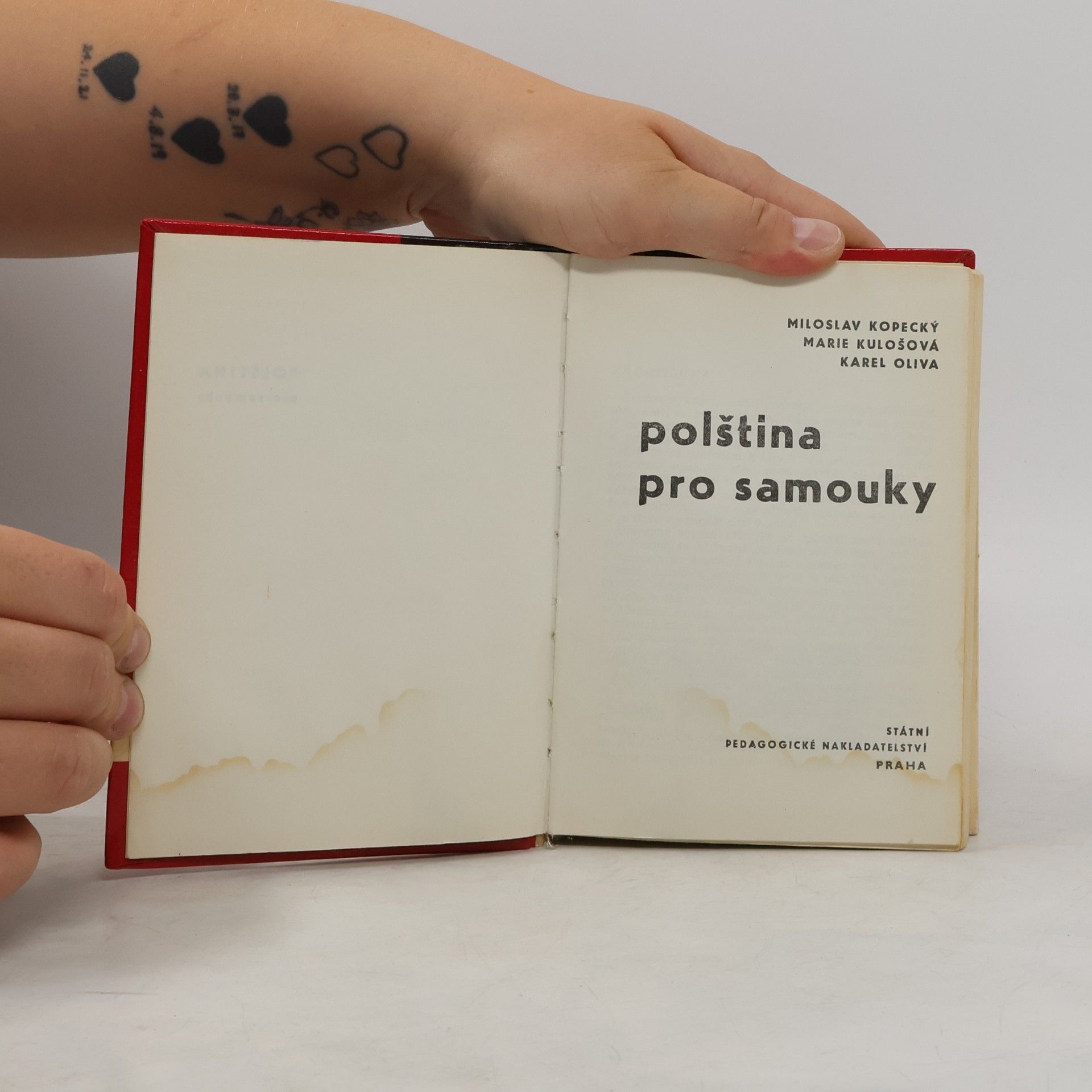 Miroslav Kopecký Polština pro samouky