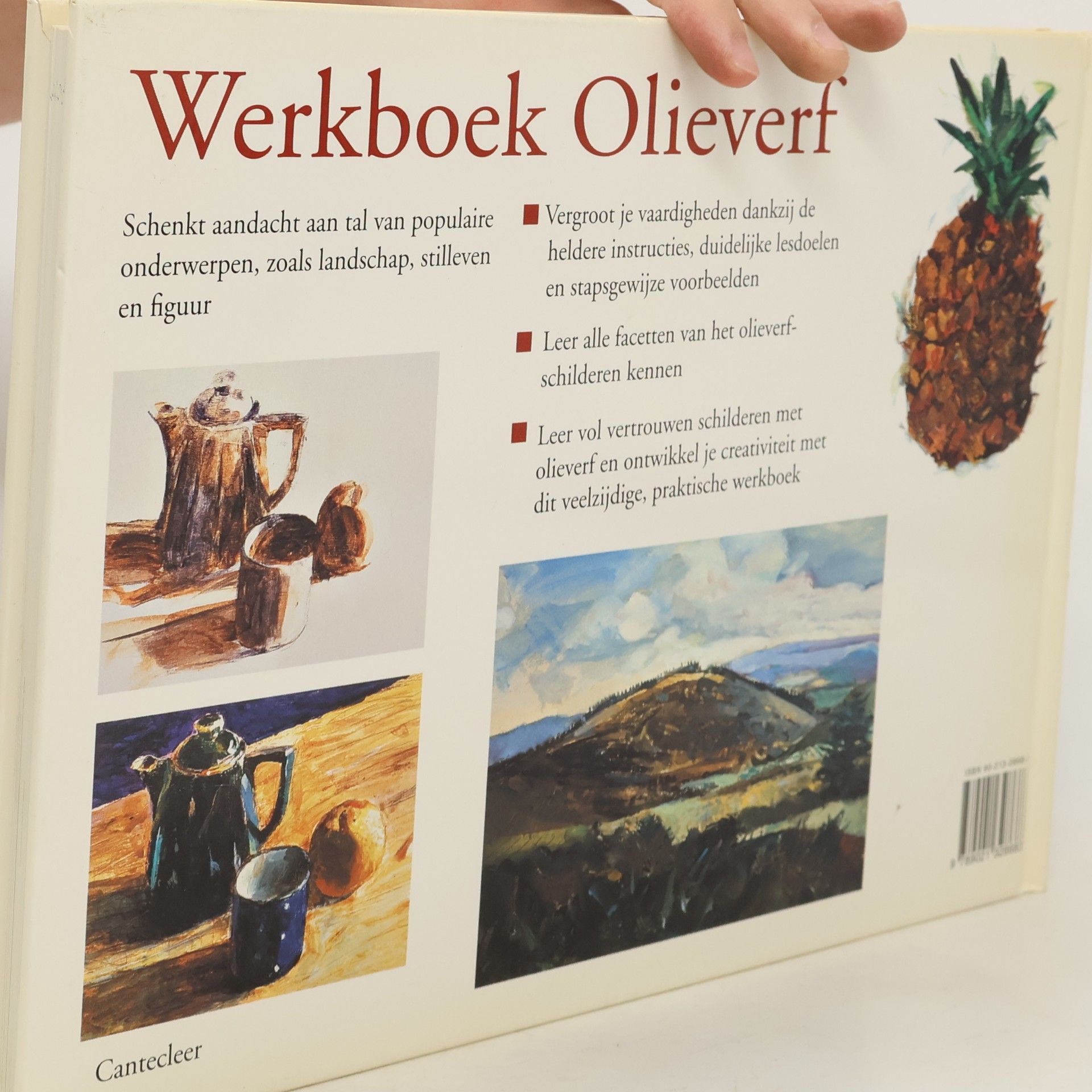 Smith, Stan Werkboek olieverf: een speelse aanpak in tien lessen