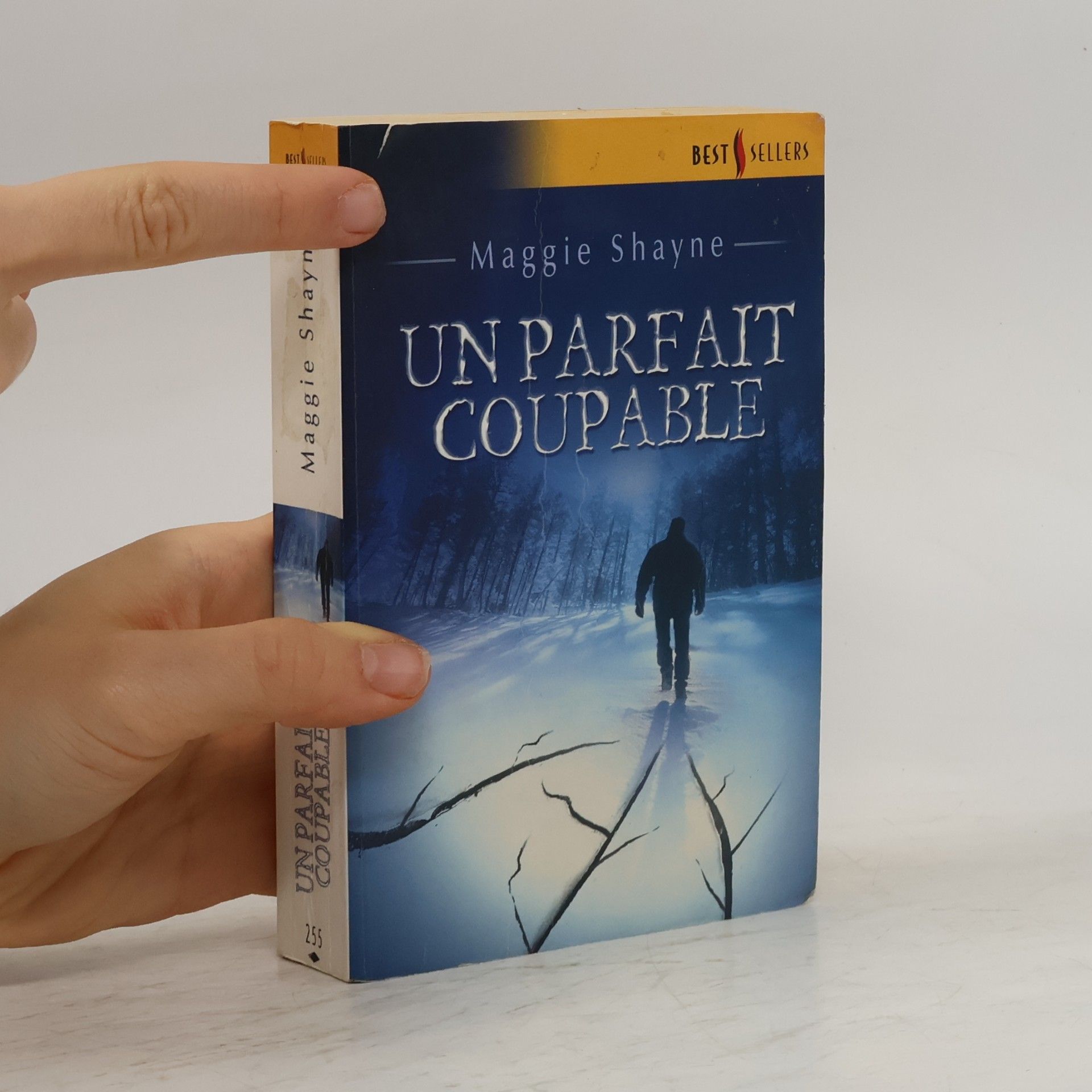 Maggie Shayne Un parfait coupable