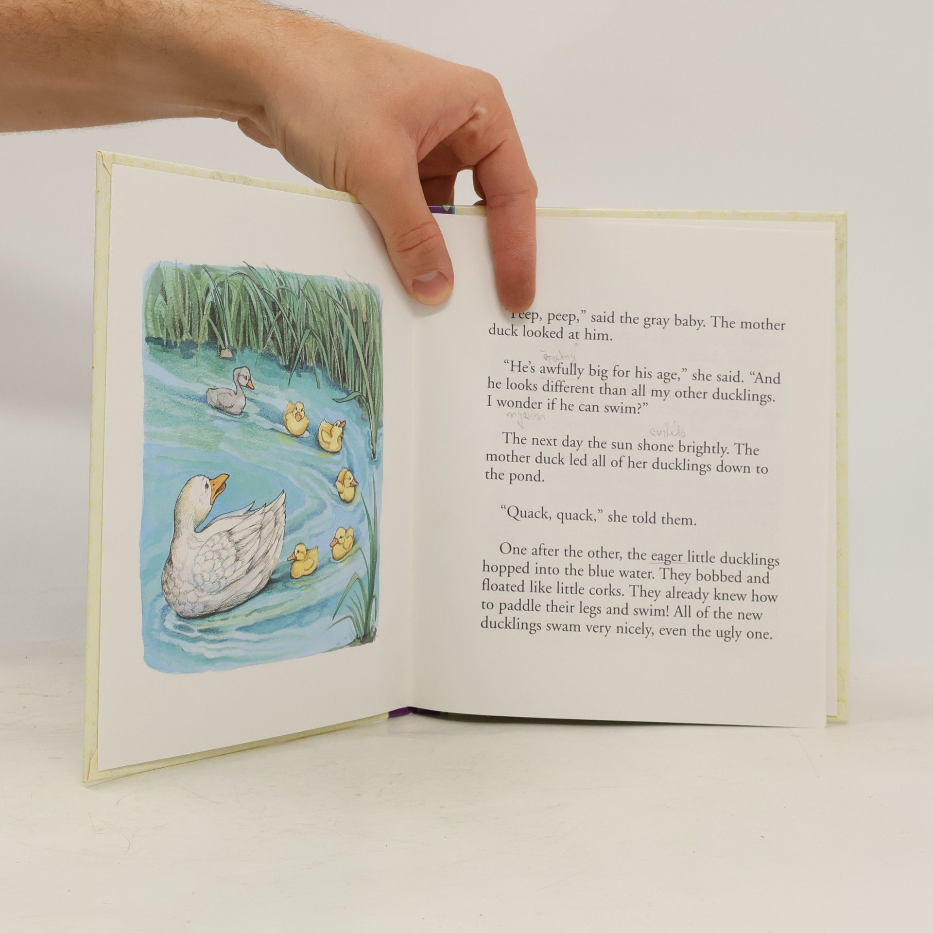Susan Spellman Ugly Duckling