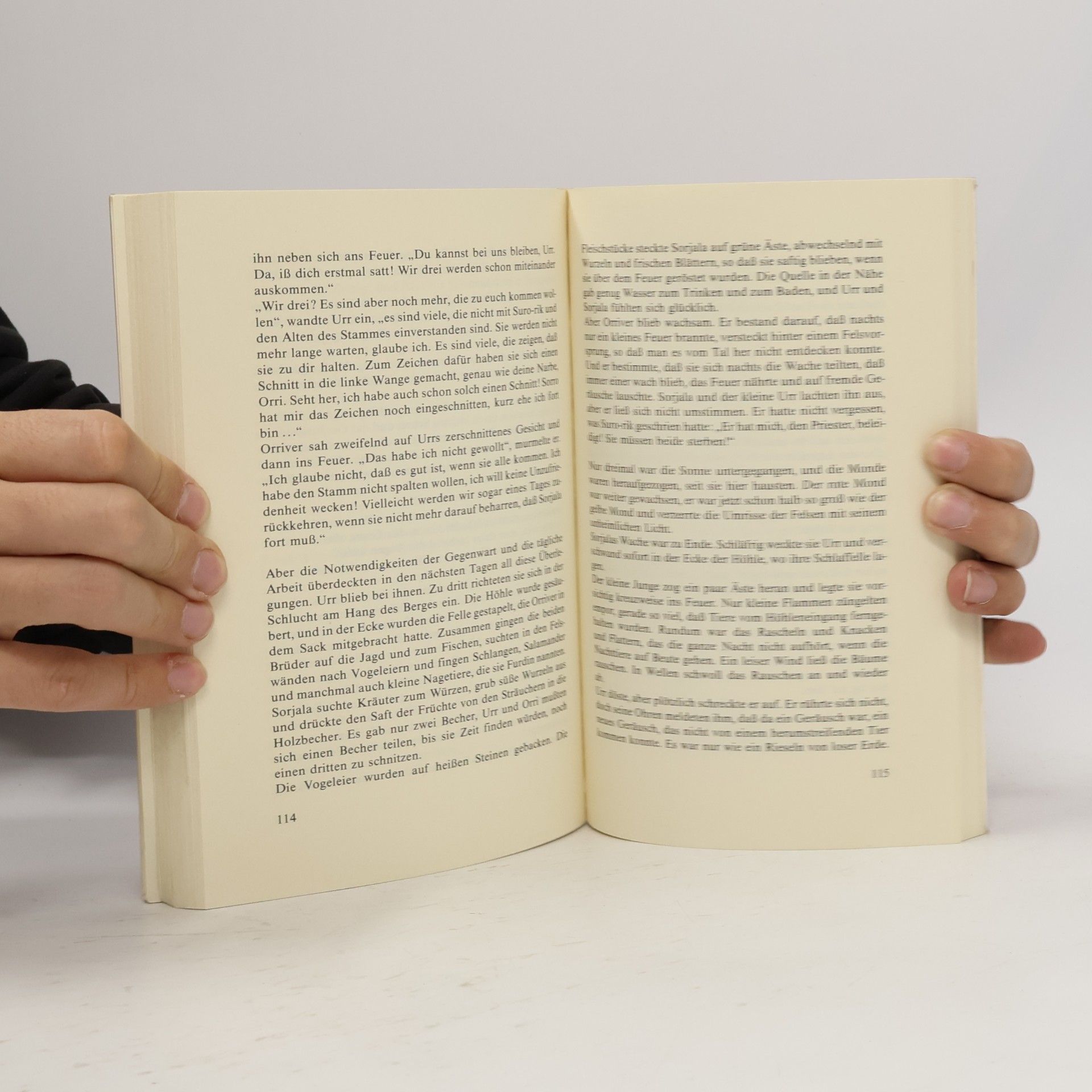 Michael Tesch Im Schatten des roten Mondes