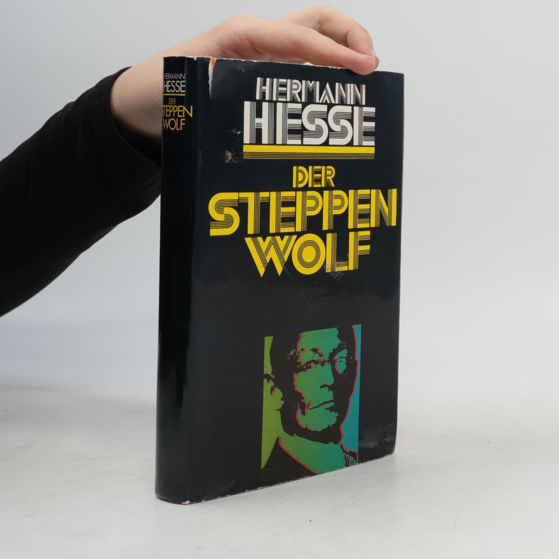 Hermann Hesse Der Steppenwolf