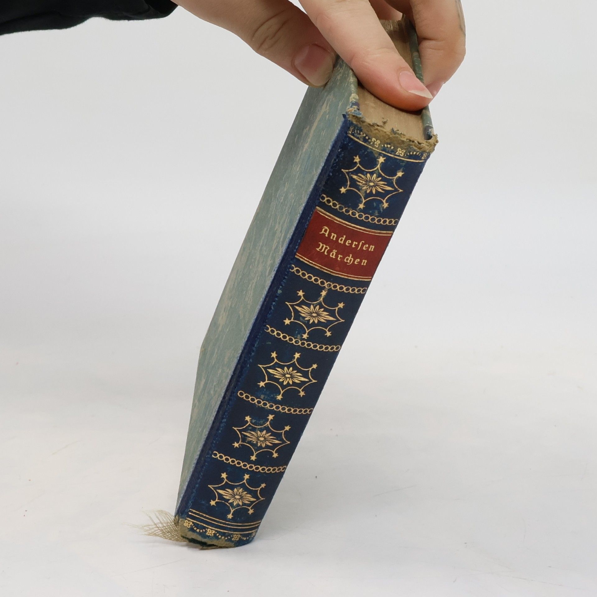 Hans-Christian Andersen Andersens ausgewählte Märchen