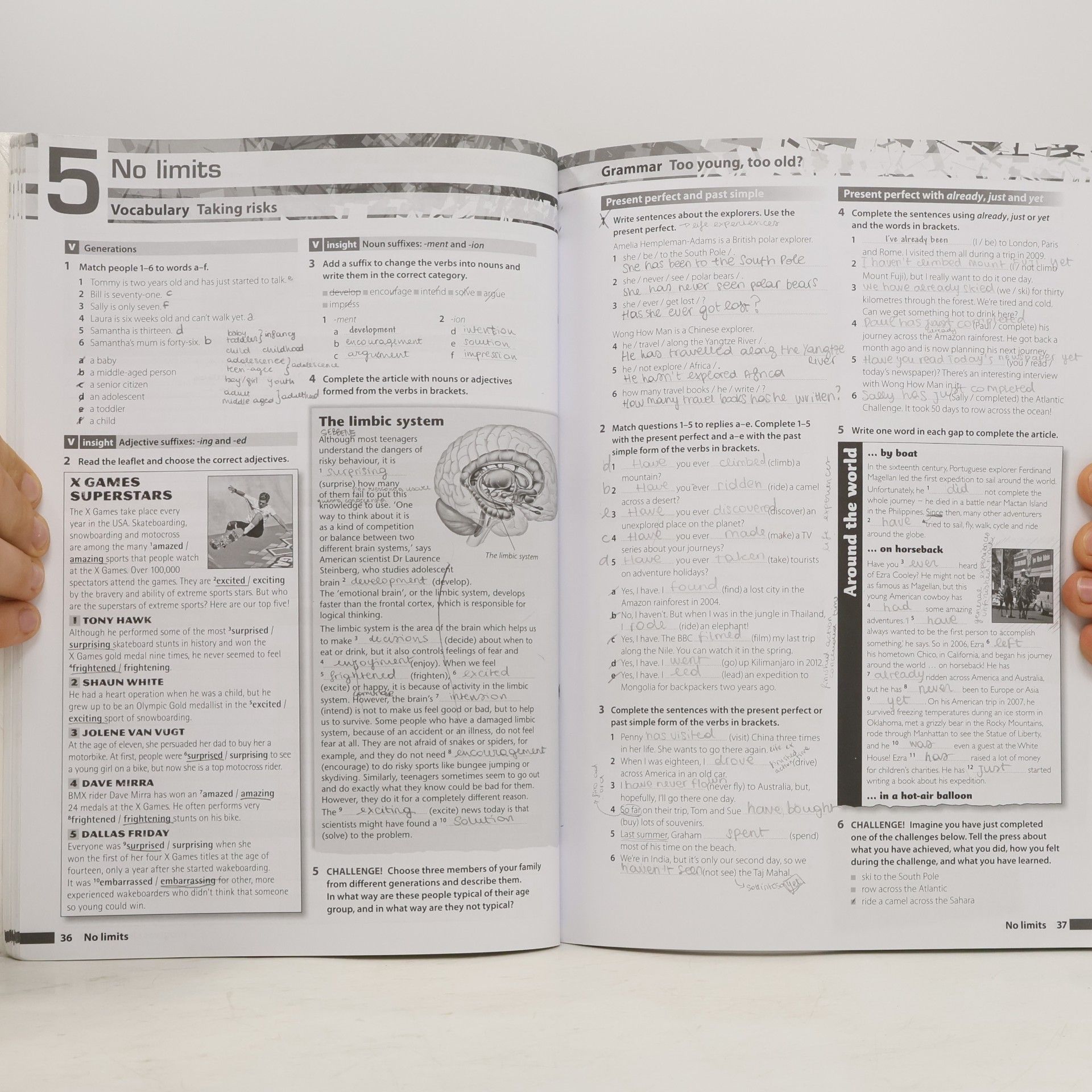 Mike Sayer Insight : Pre-intermediate Workbook
