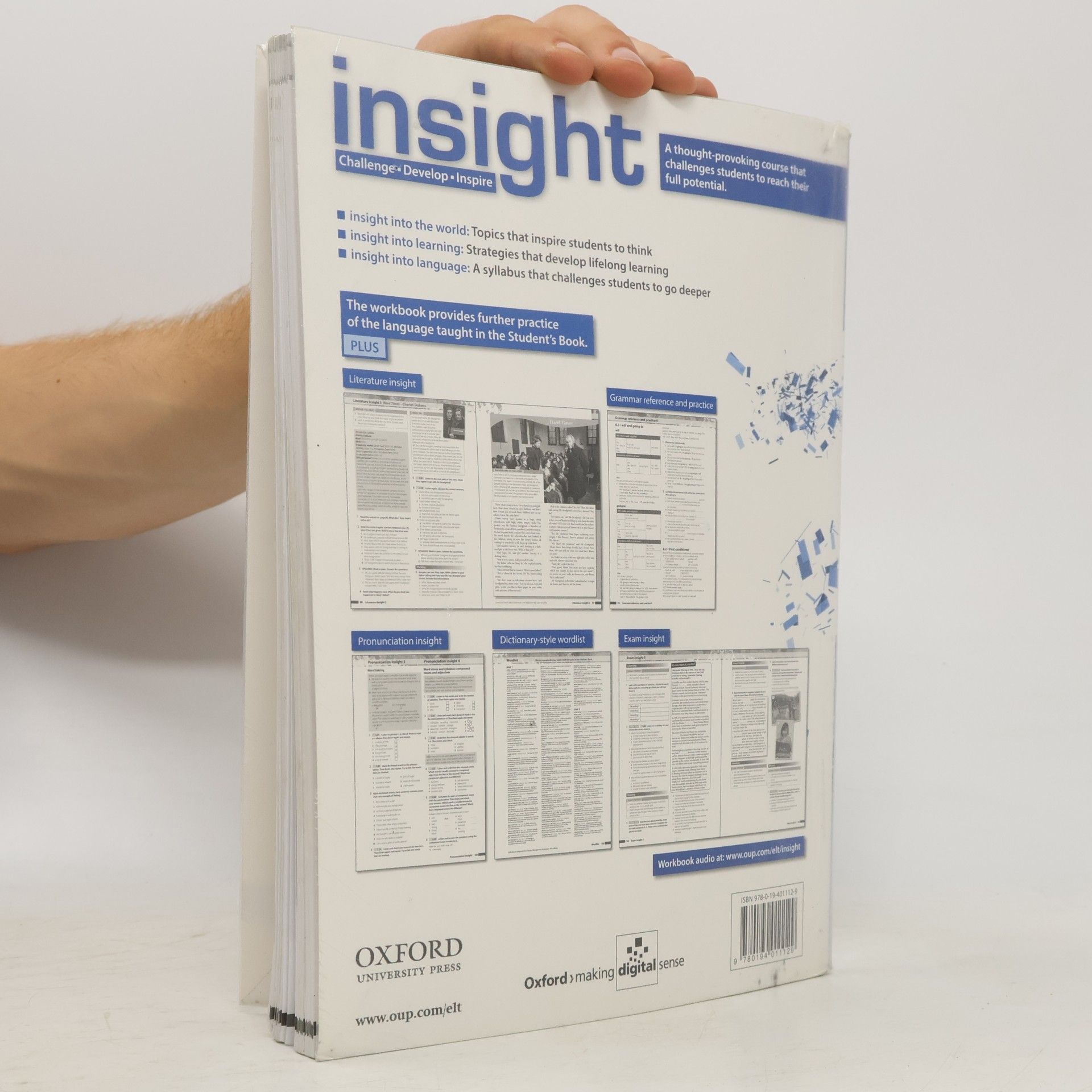 Mike Sayer Insight : Pre-intermediate Workbook