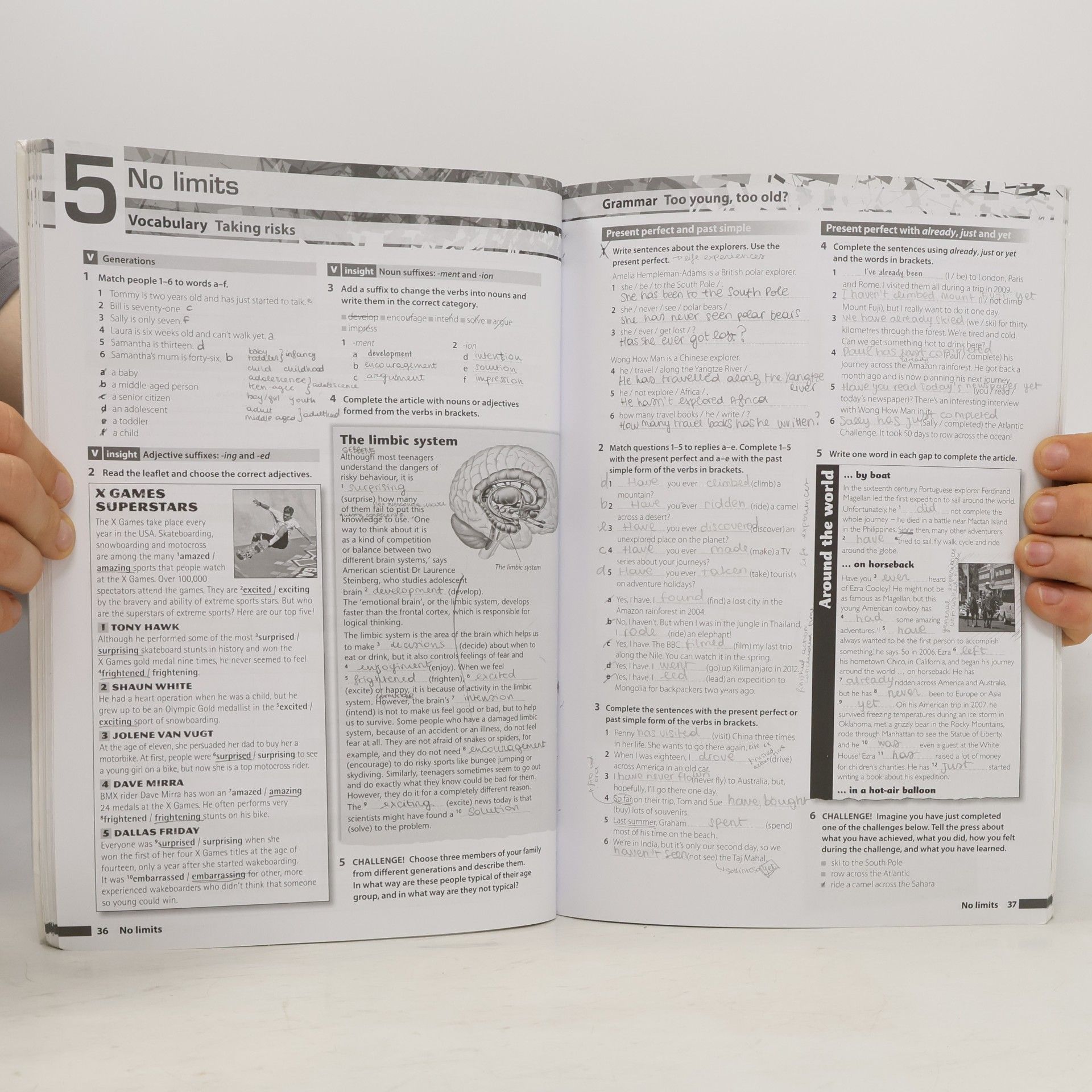 Mike Sayer Insight : Pre-intermediate Workbook