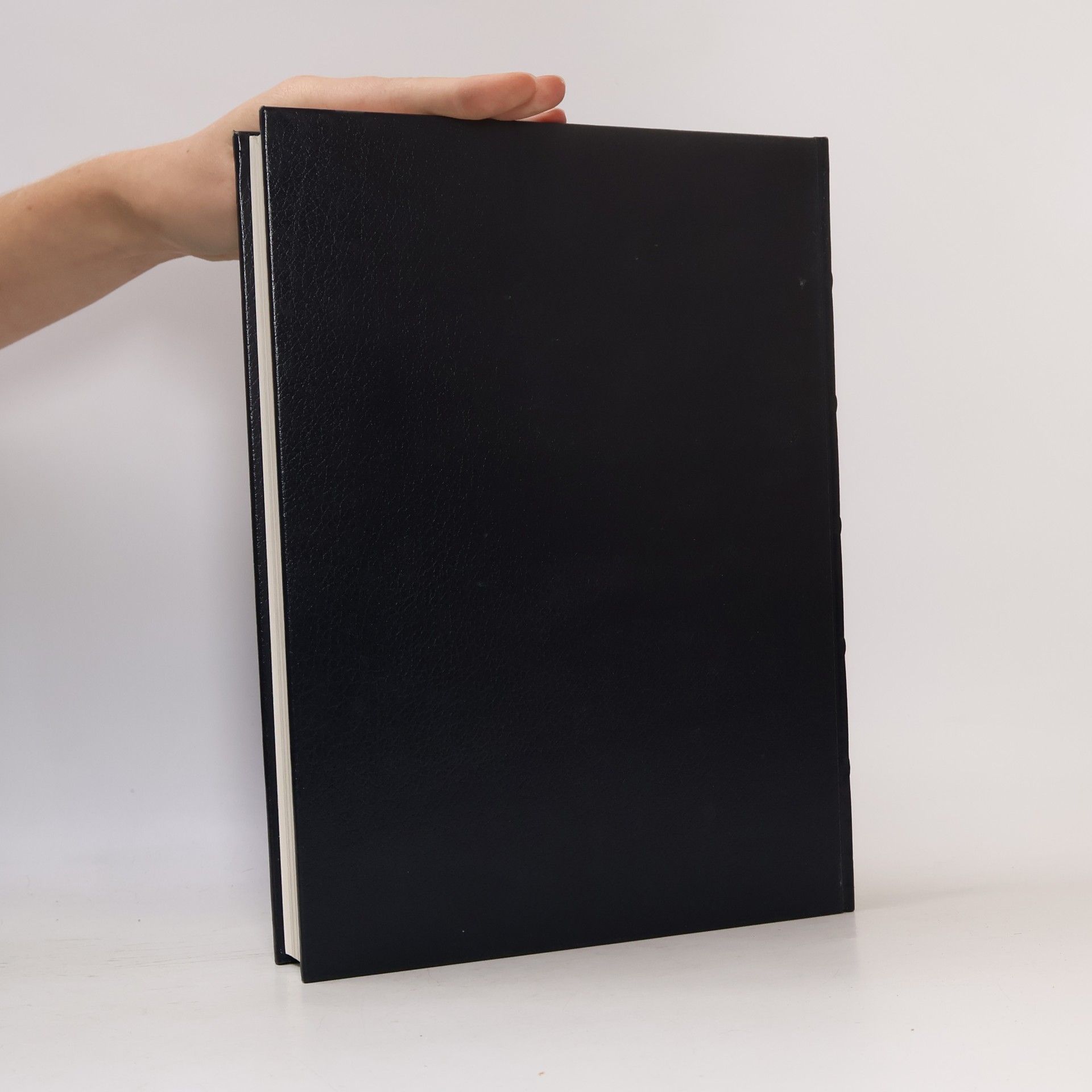 Bettina Clausen Spektrum der Literatur