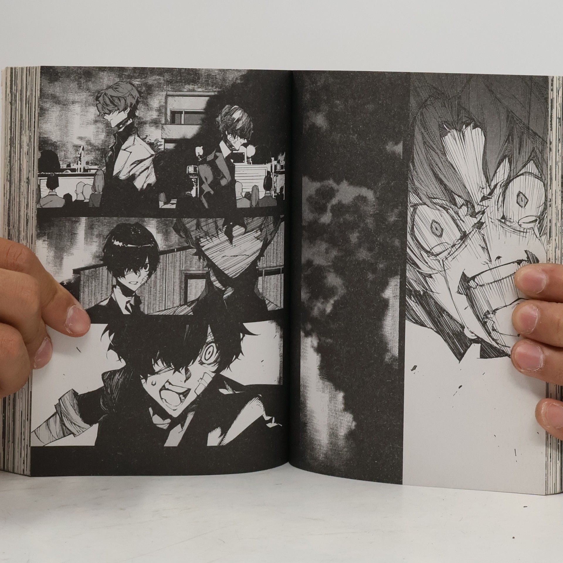 Kafka Asagiri Bungo Stray Dogs BEAST 02