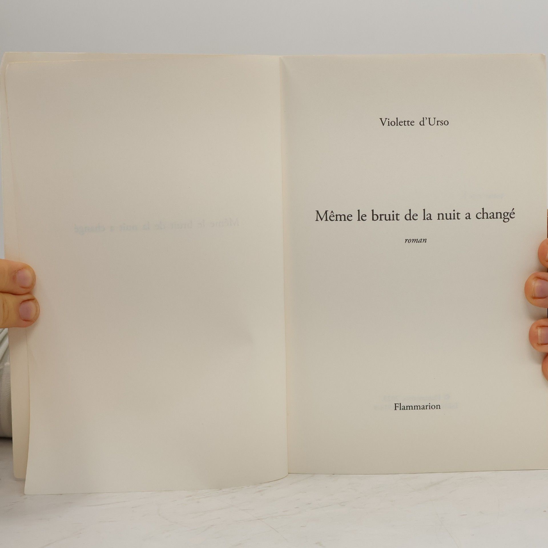 Violette d'Urso Même le bruit de la nuit a changé