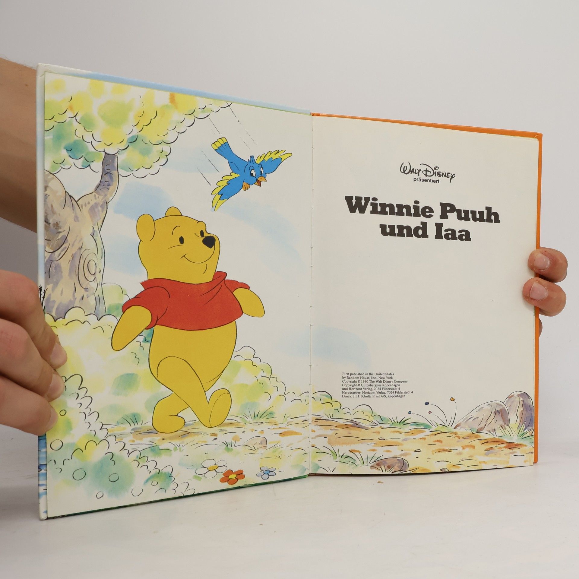 kolektiv Winnie Puuh und Iaa