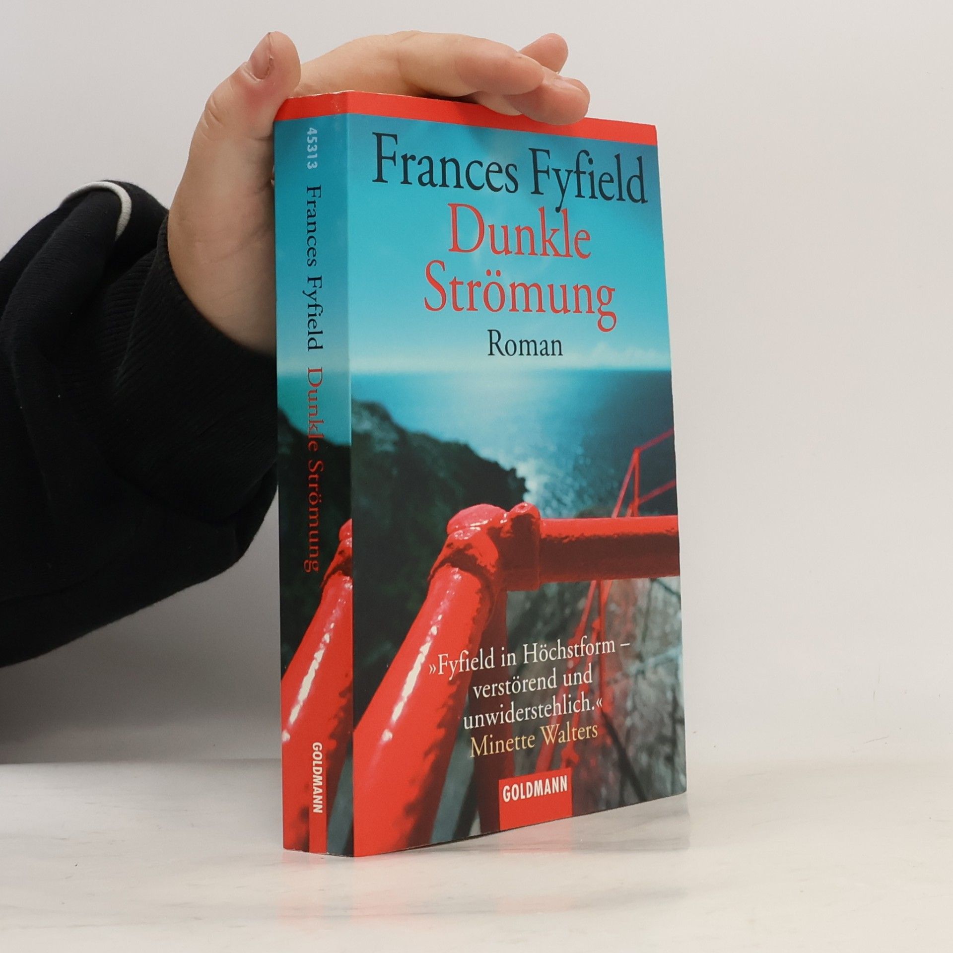 Frances Fyfield Dunkle Strömung