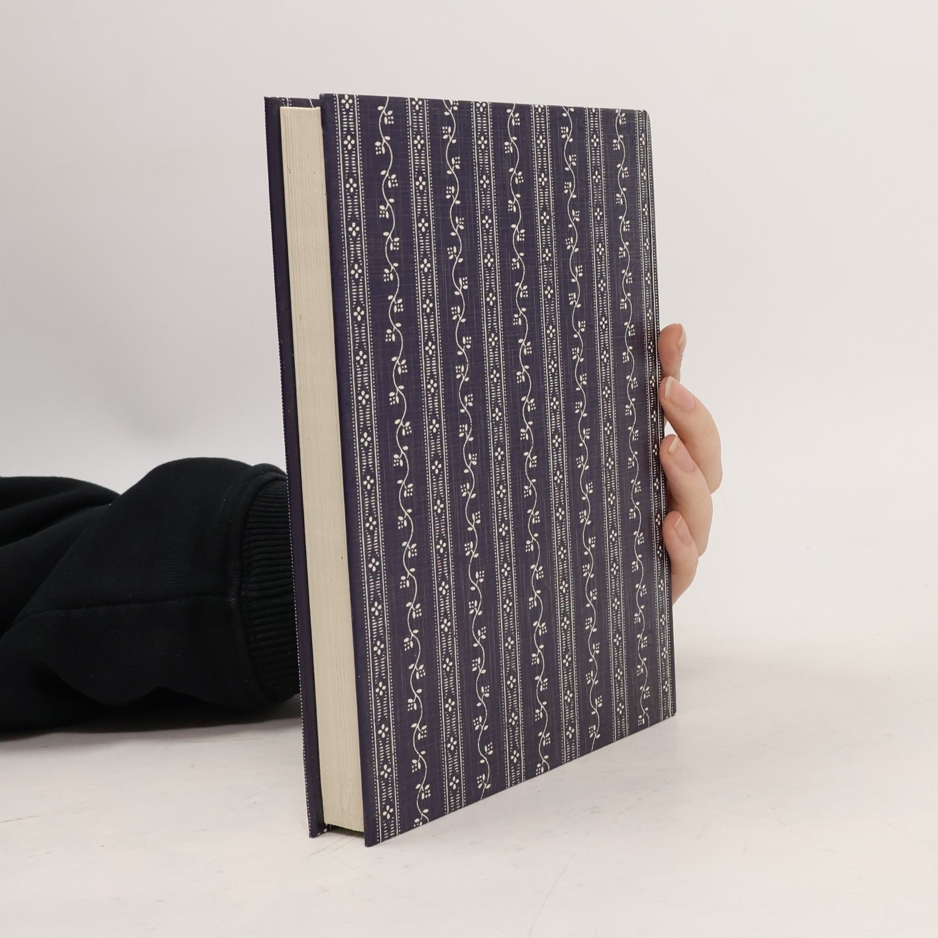 Autorenkollektiv Feine Mehlspeisen der Höfleiner Frauen