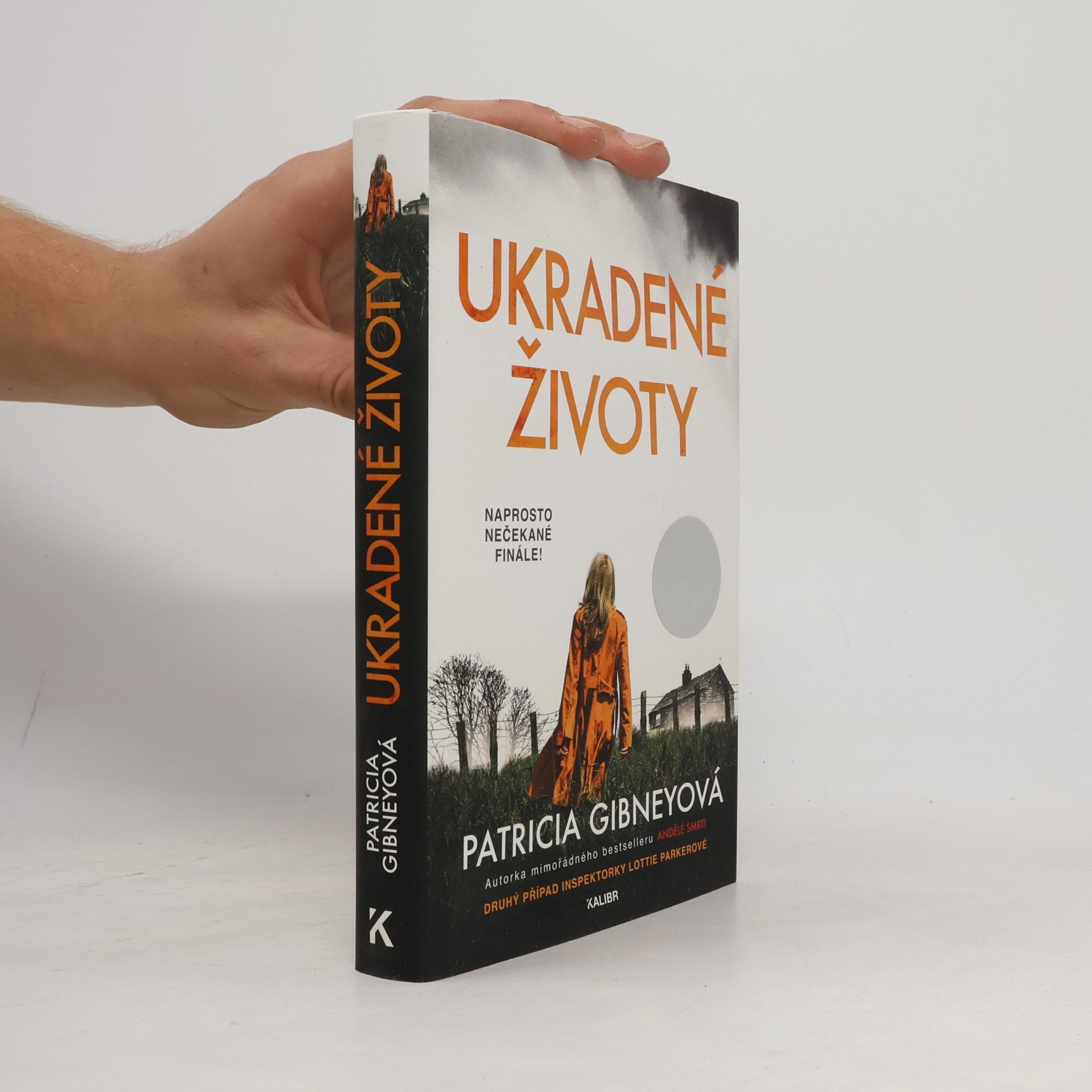 Patricia Gibney Ukradené životy