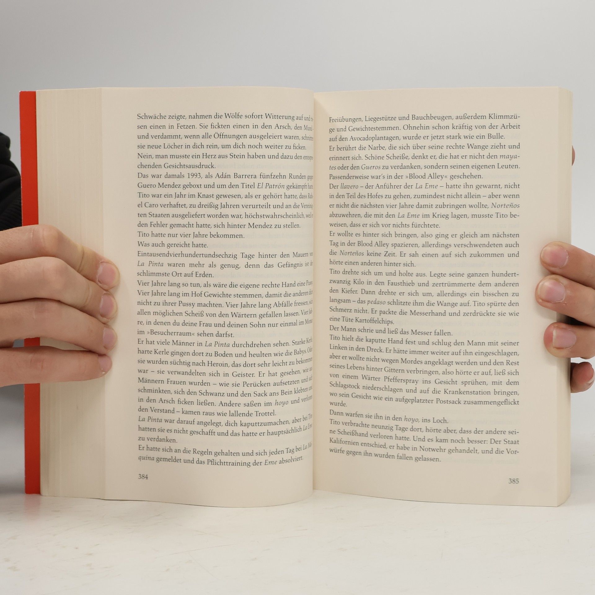 Don Winslow Jahre des Jägers