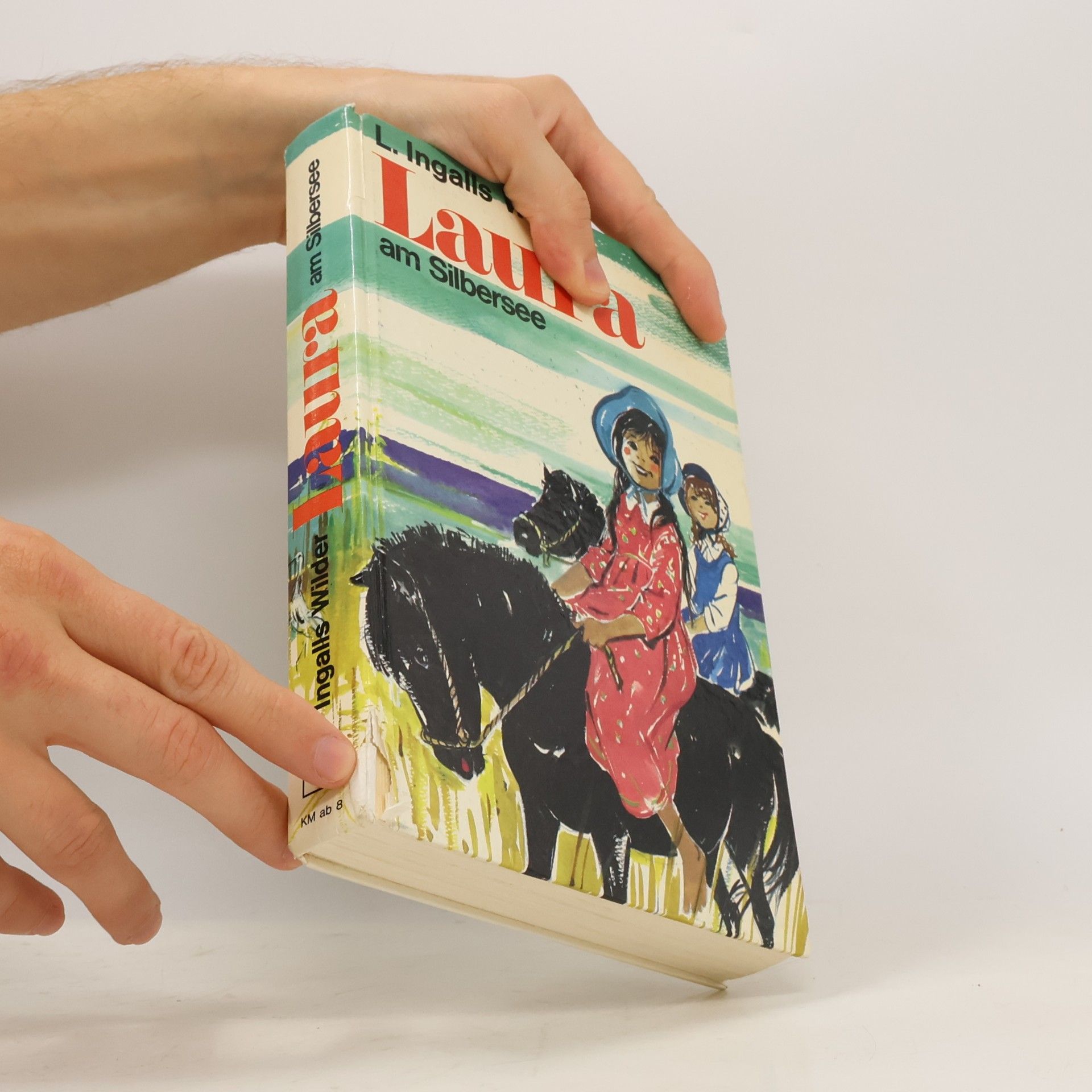 Laura Ingalls Wilder Laura am Silbersee