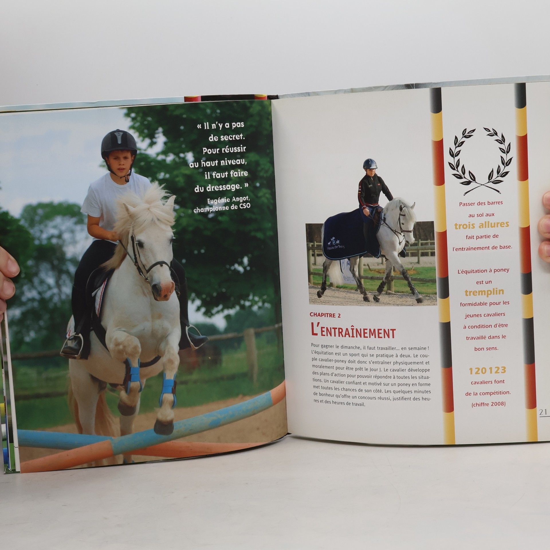 Delylle Antoinette Poney de compétition