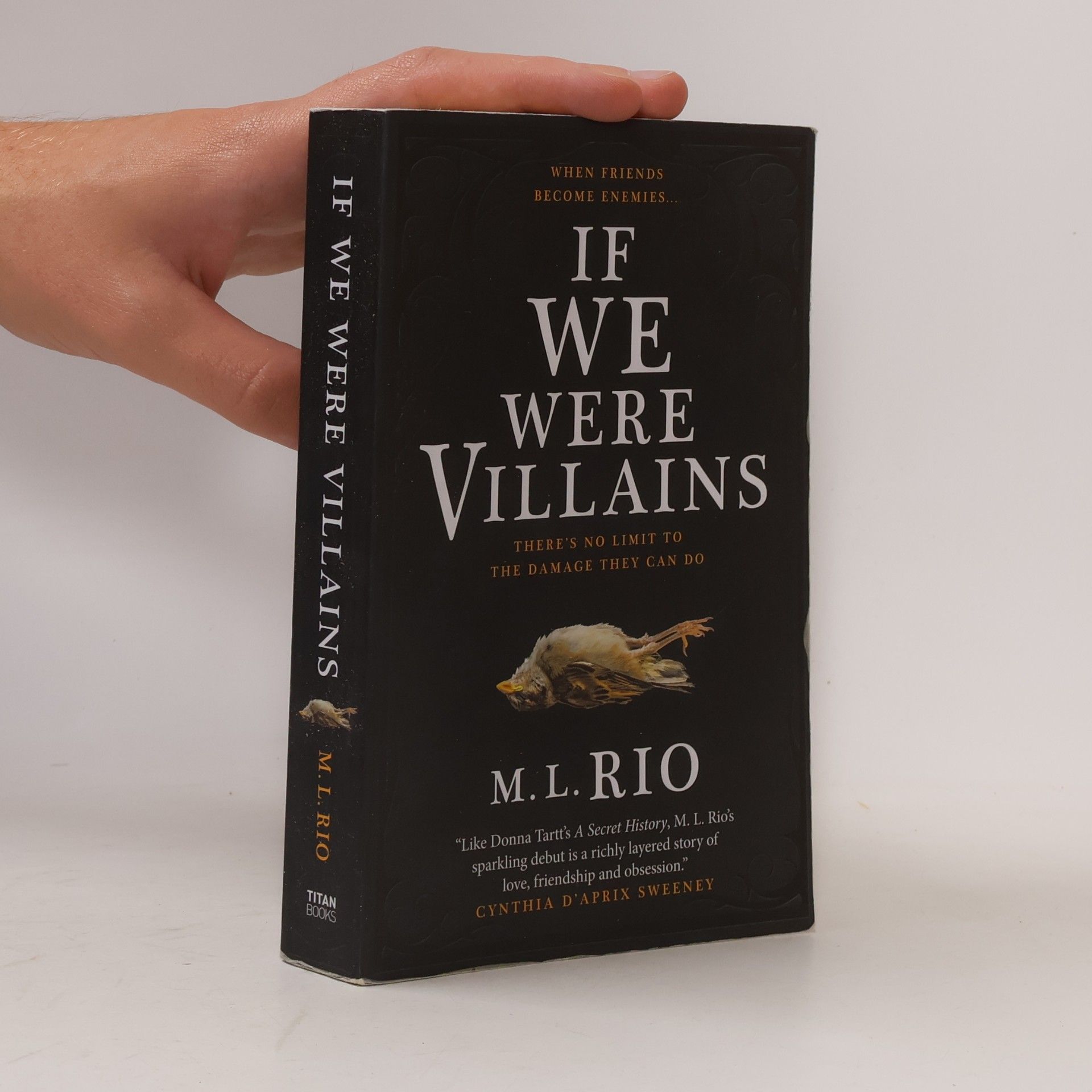 M. L. Rio If We Were Villains