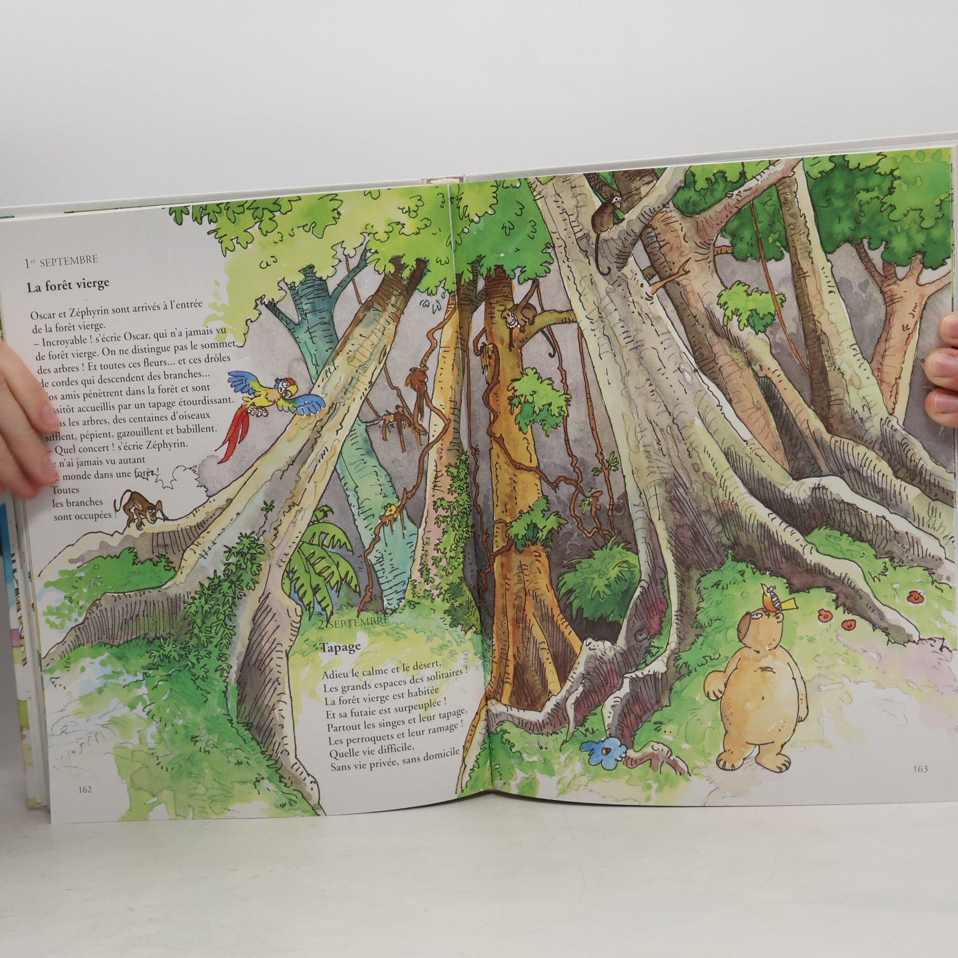 kolektiv 366 histoires d'ours