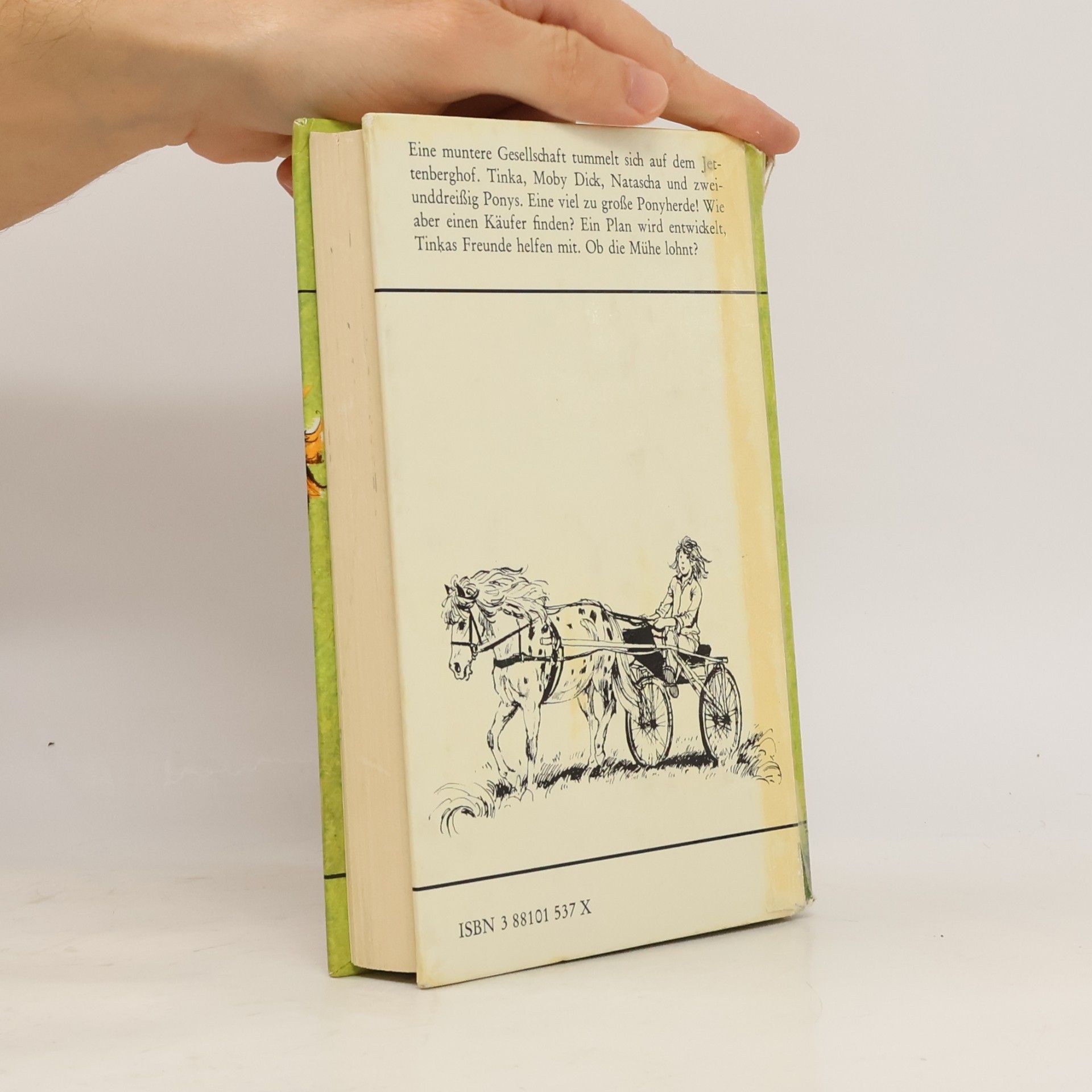 Sigrid Heuck Ein Ponysommer