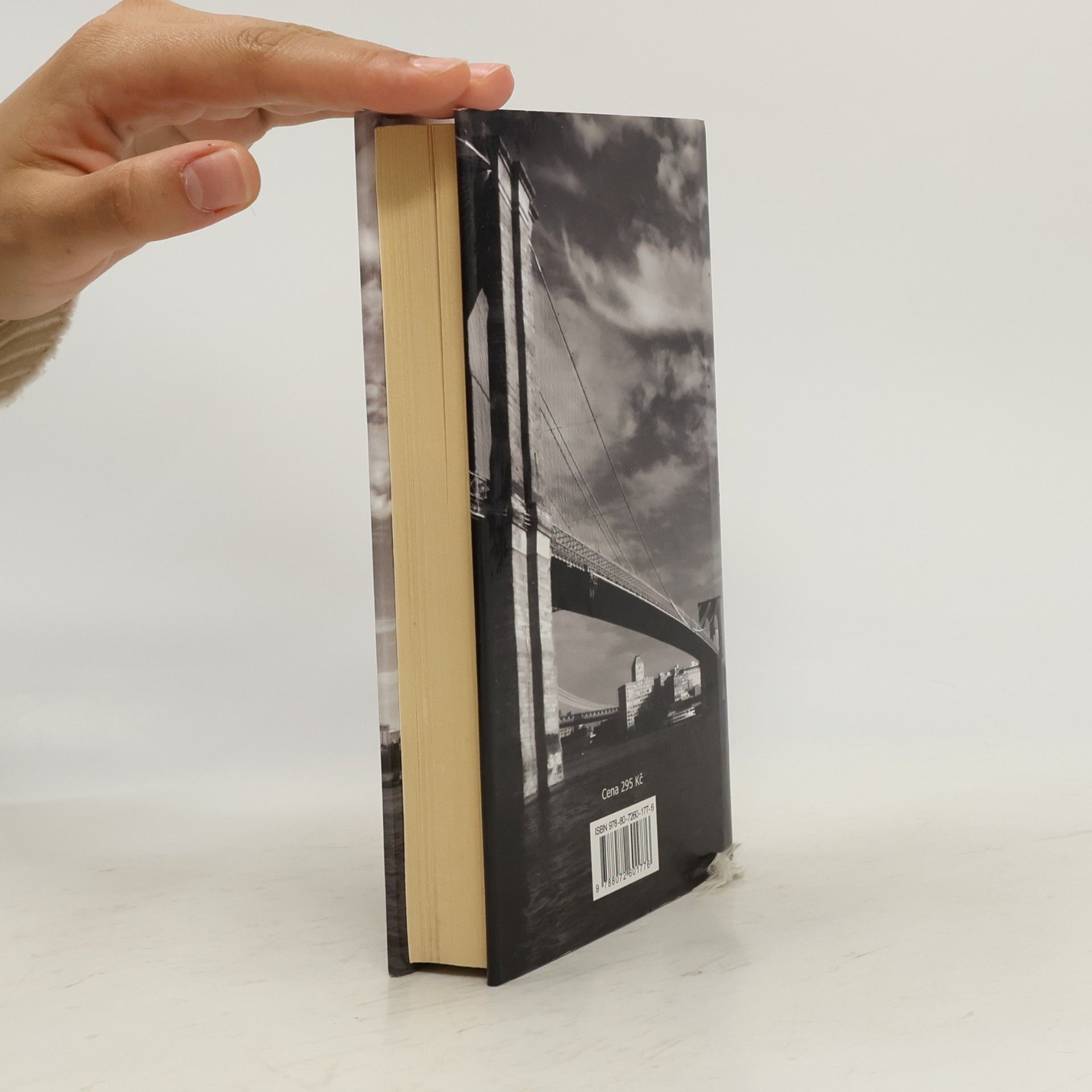 Paul Auster Brooklynské panoptikum