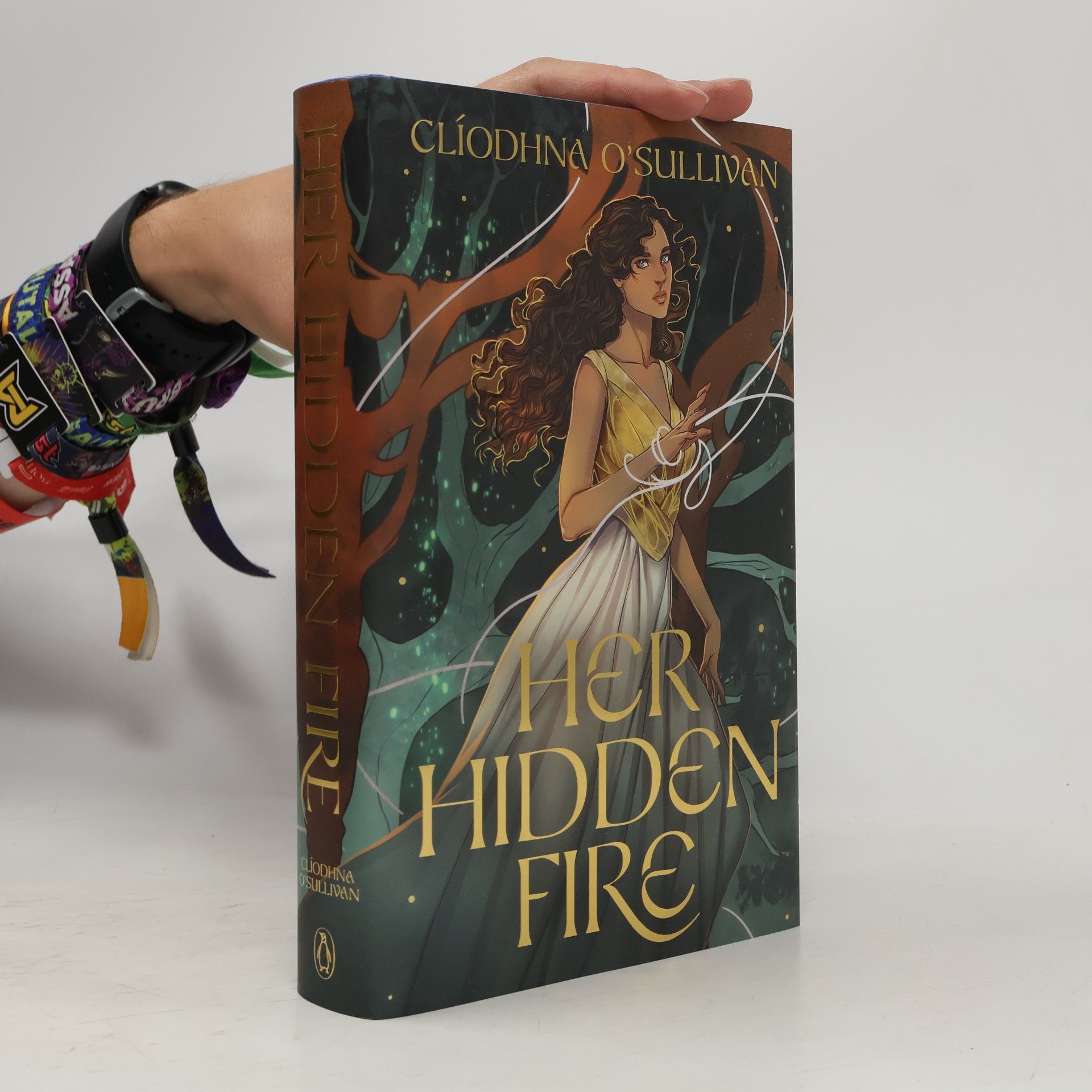 Clíodhna O'Sullivan Her Hidden Fire