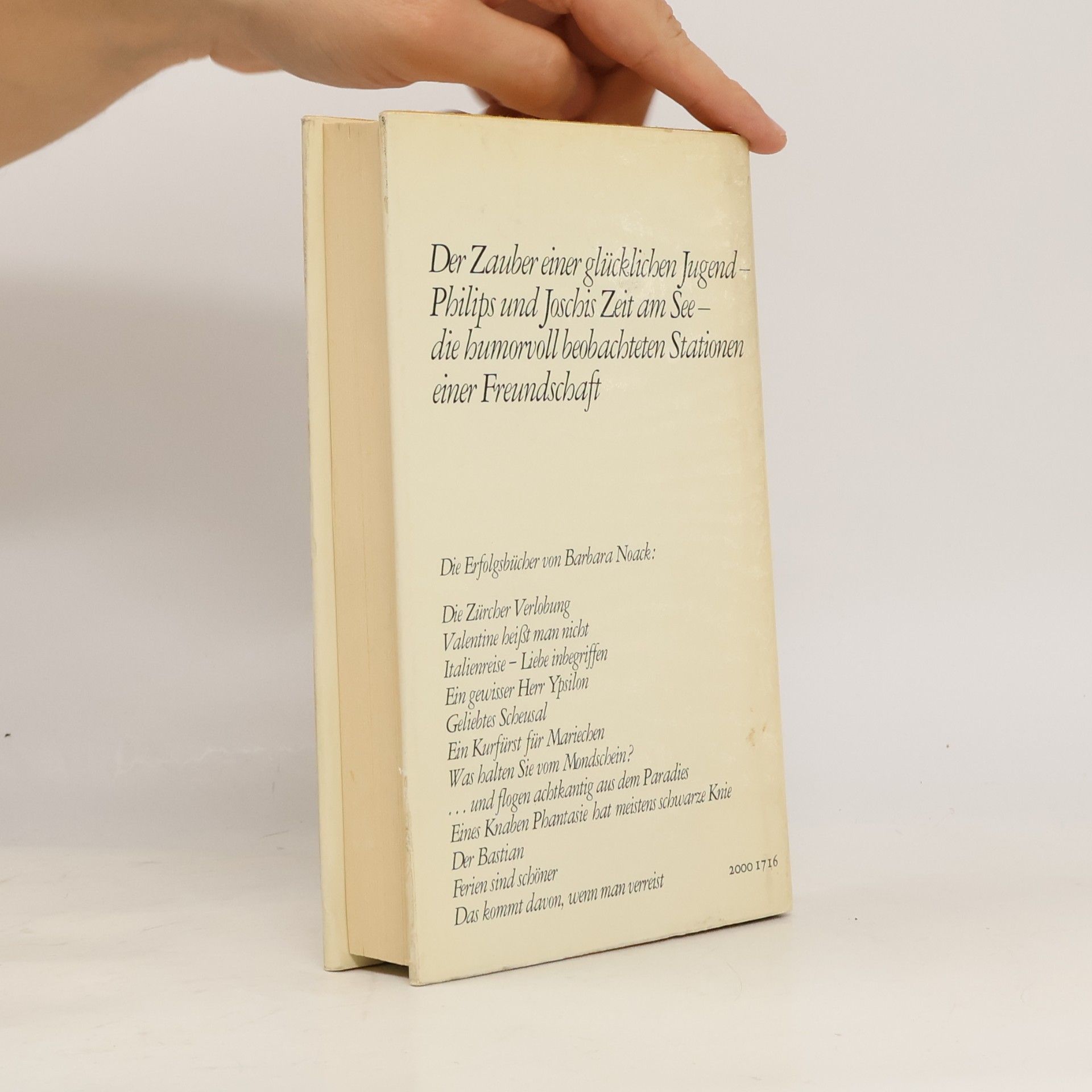 Barbara Noack Auf einmal sind sie keine Kinder mehr oder die Zeit am See