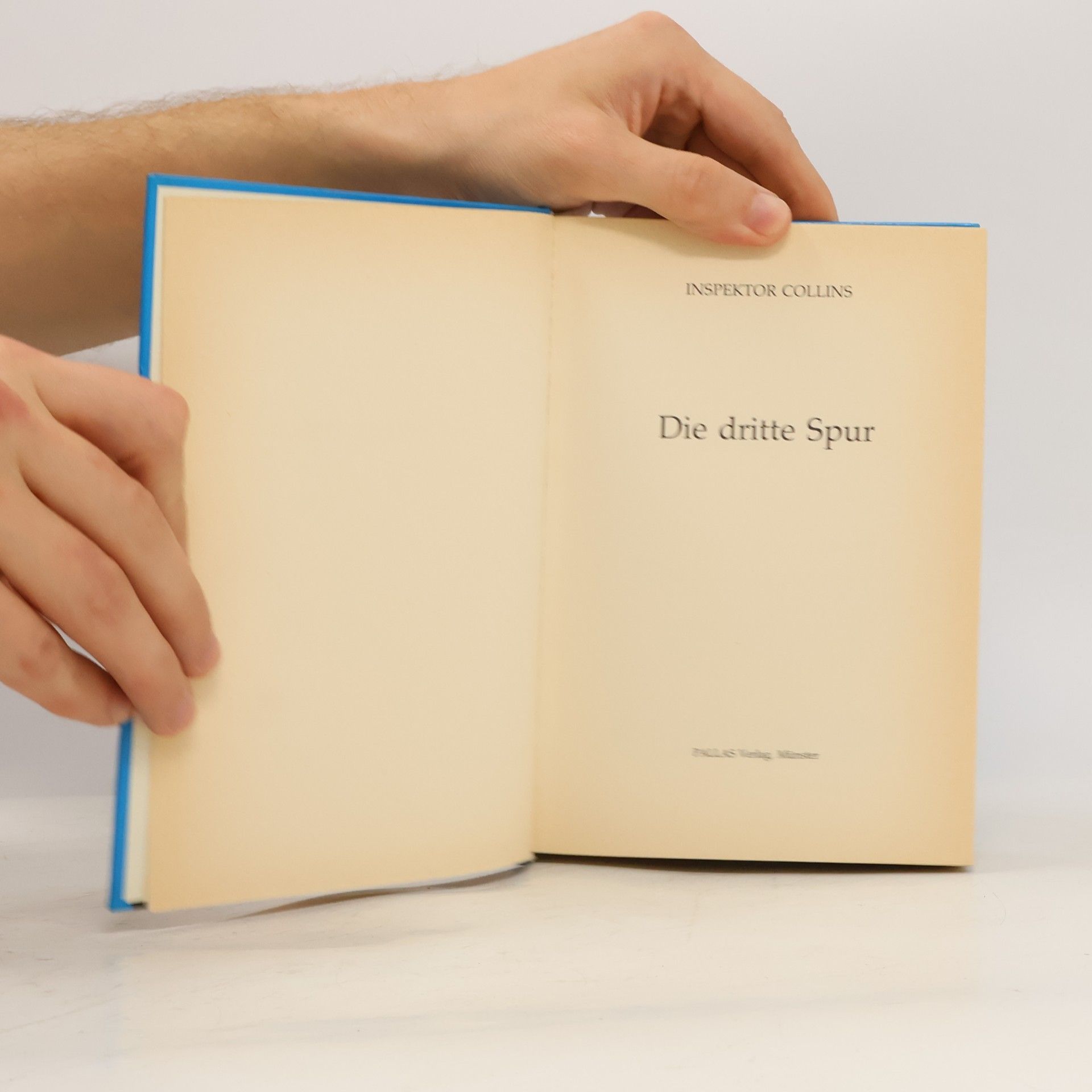 Theo Reubel Ciani Die dritte Spur