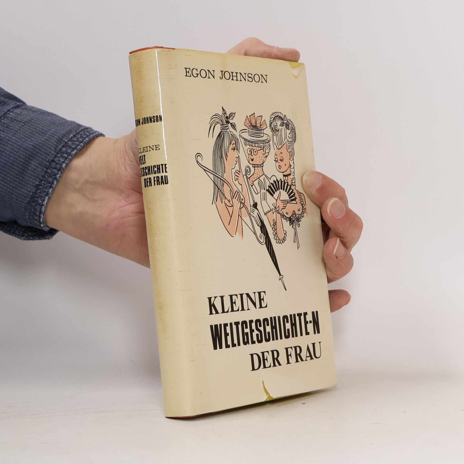 Egon Jameson Kleine Weltgeschichte(n) der Frau