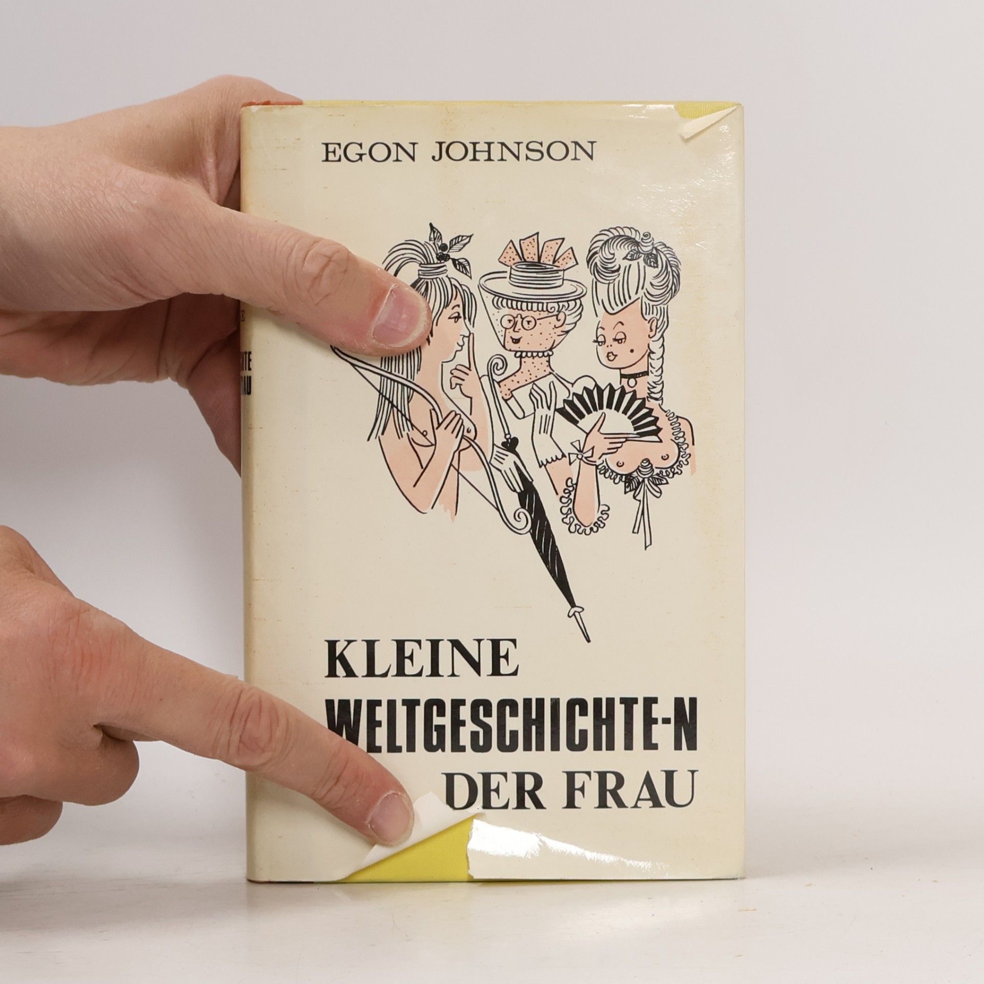 Egon Jameson Kleine Weltgeschichte(n) der Frau