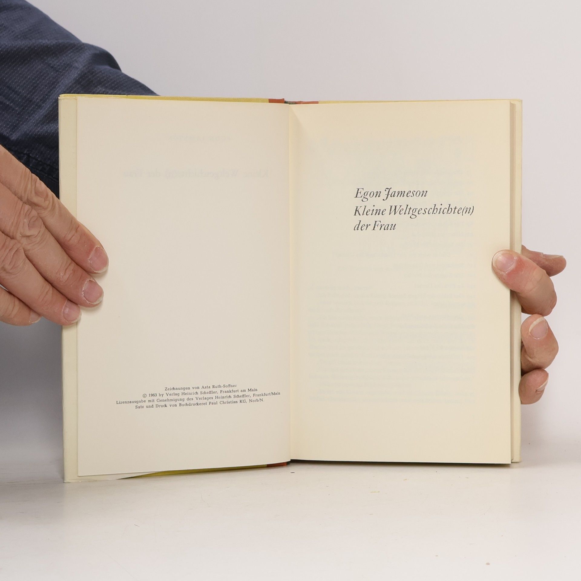 Egon Jameson Kleine Weltgeschichte(n) der Frau